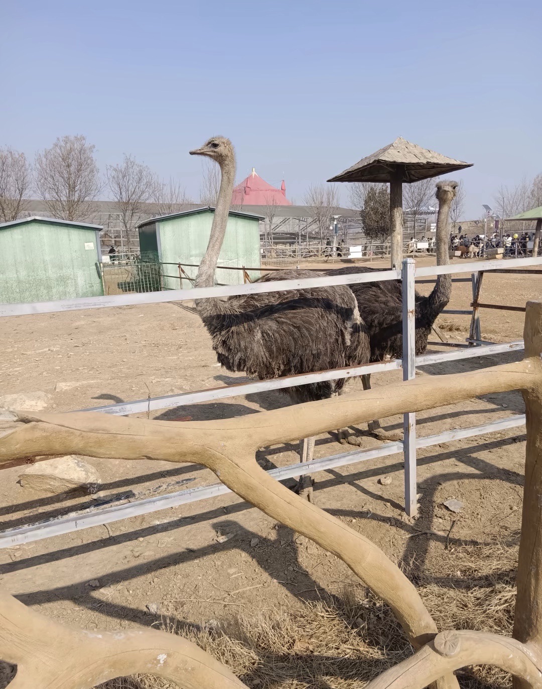 白虎山景区旅行图片 3