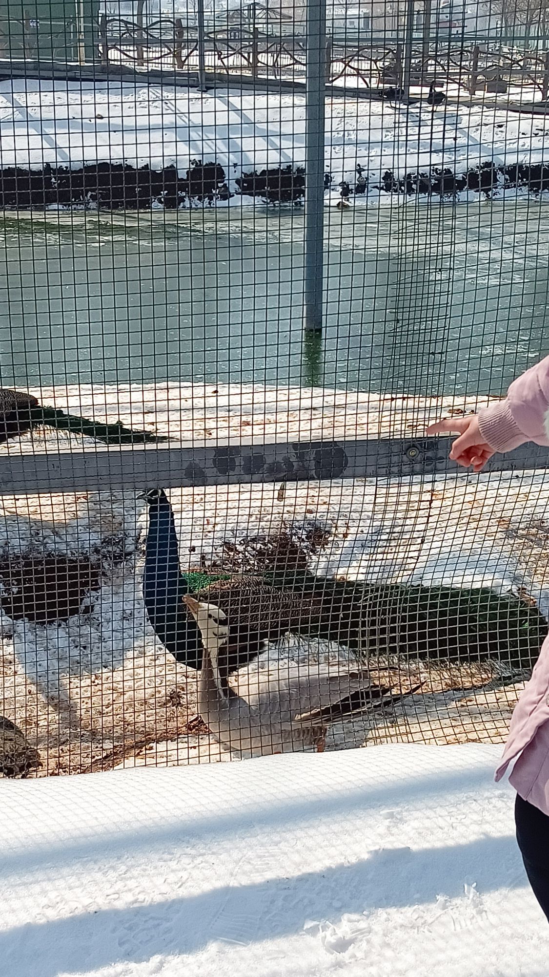 白虎山景区旅行图片 3