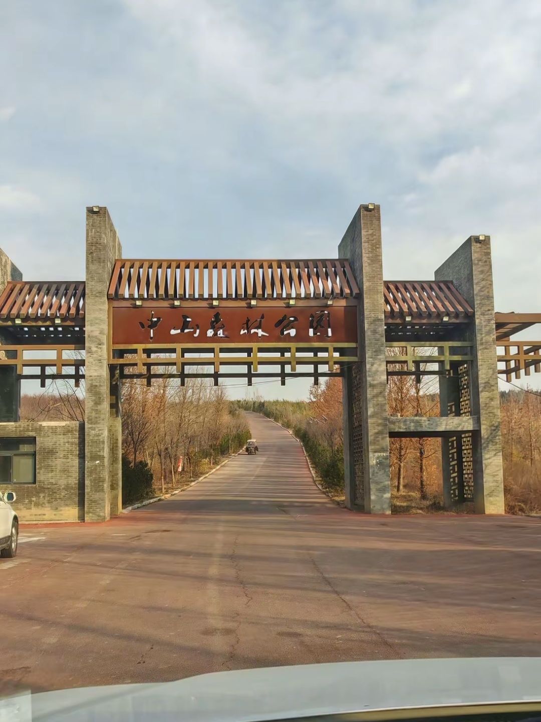 中山森林公园百树园