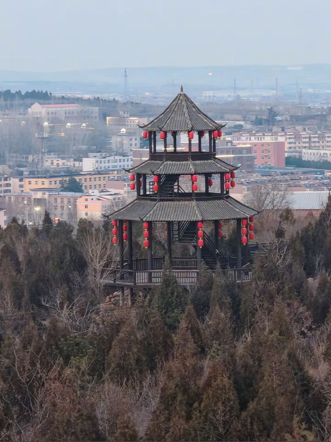 中山森林公园百树园