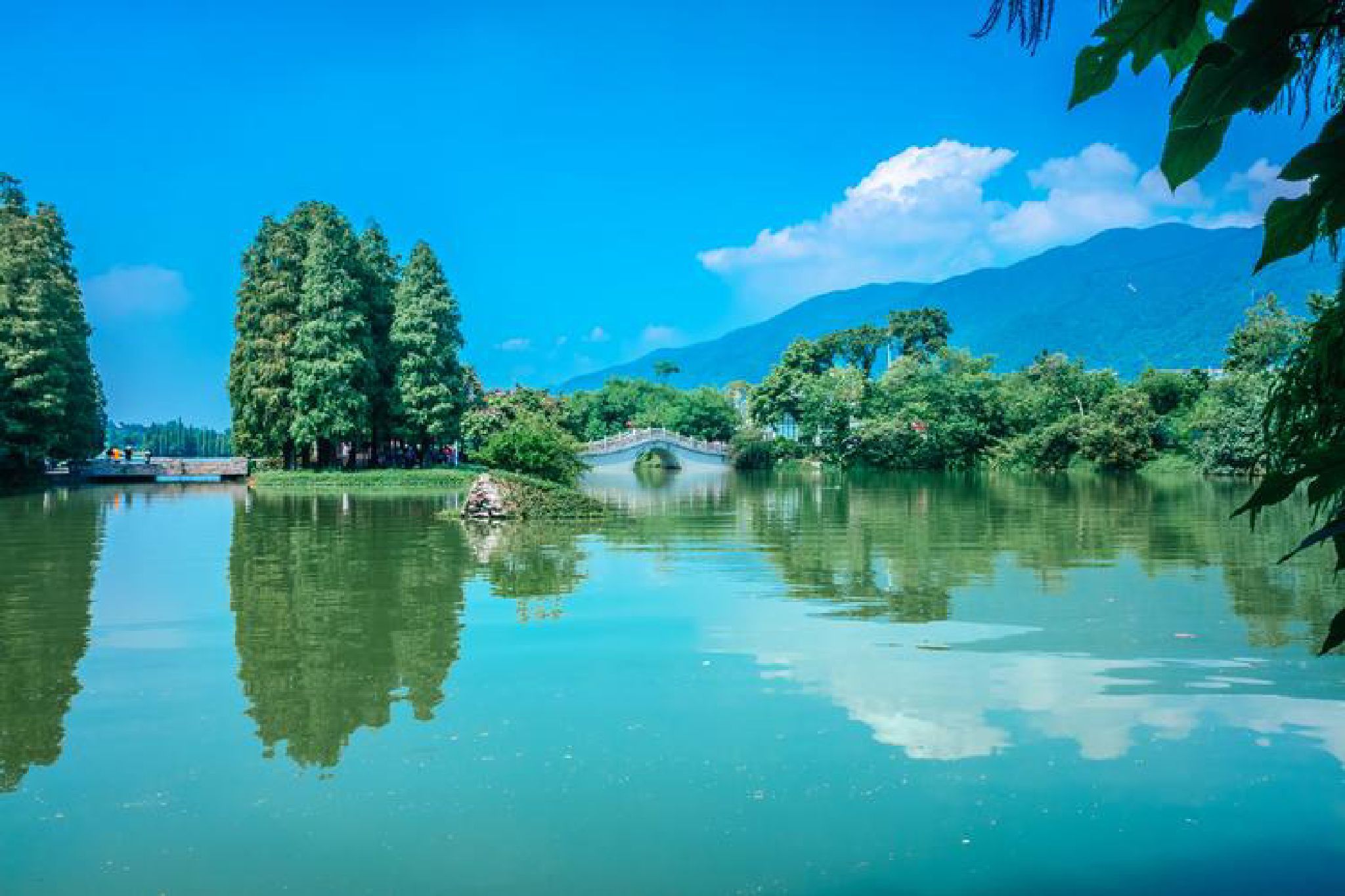 城西滨江公园旅行图片 3