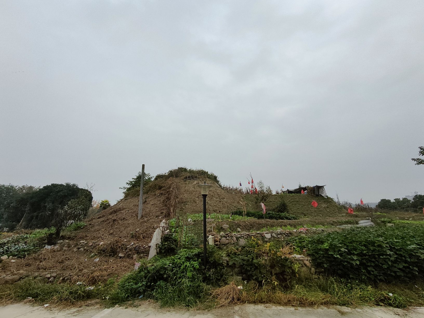 小岛花园城·清水湾湿地公园旅行图片 1