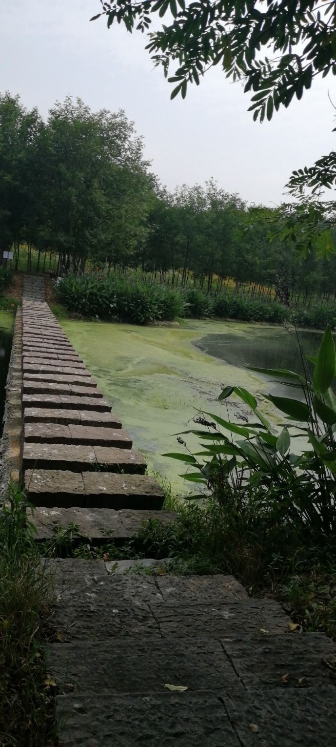 胡大山湿地公园