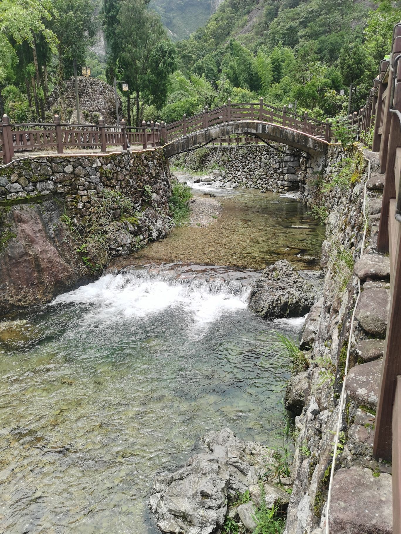 雁荡山石斛谷旅行图片 1