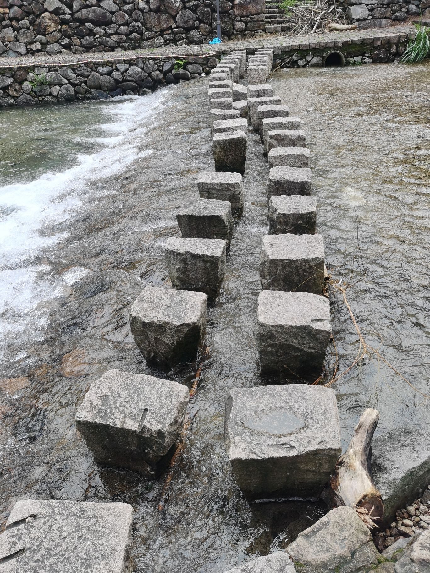 雁荡山石斛谷旅行图片 2