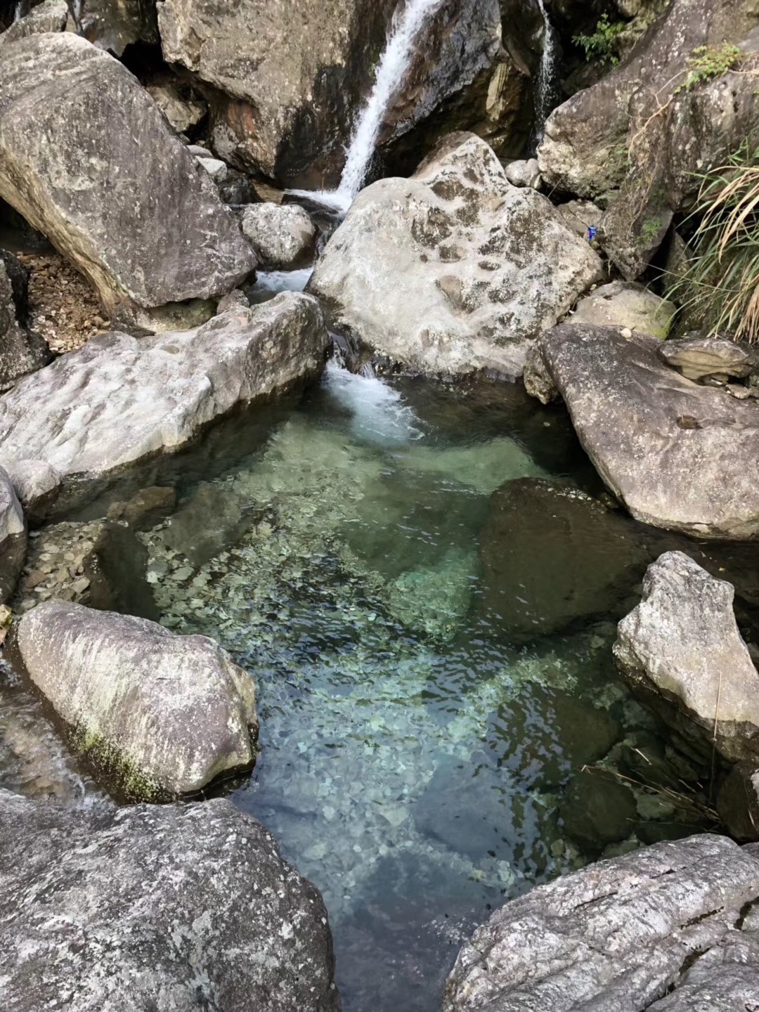 雁荡山石斛谷旅行图片 3