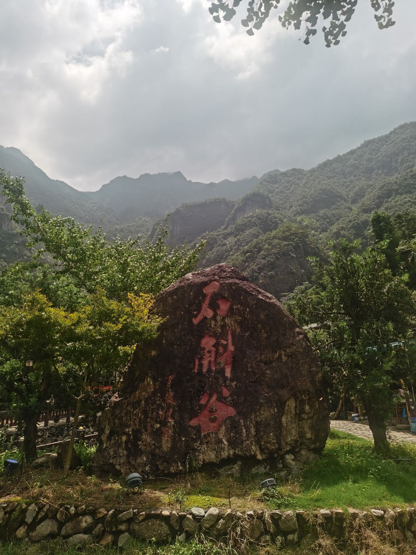 雁荡山石斛谷旅行图片 3