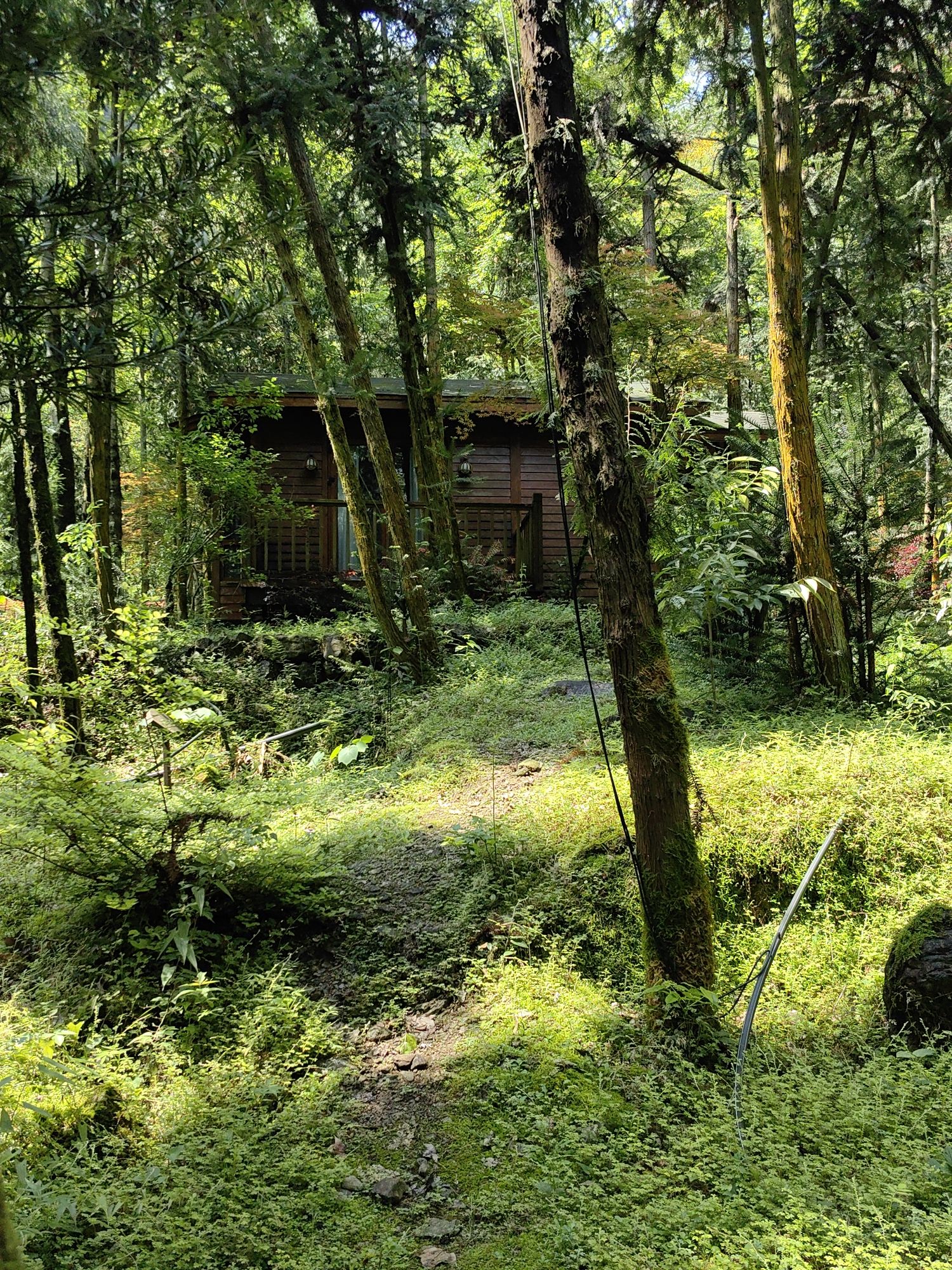 雁荡山石斛谷旅行图片 3