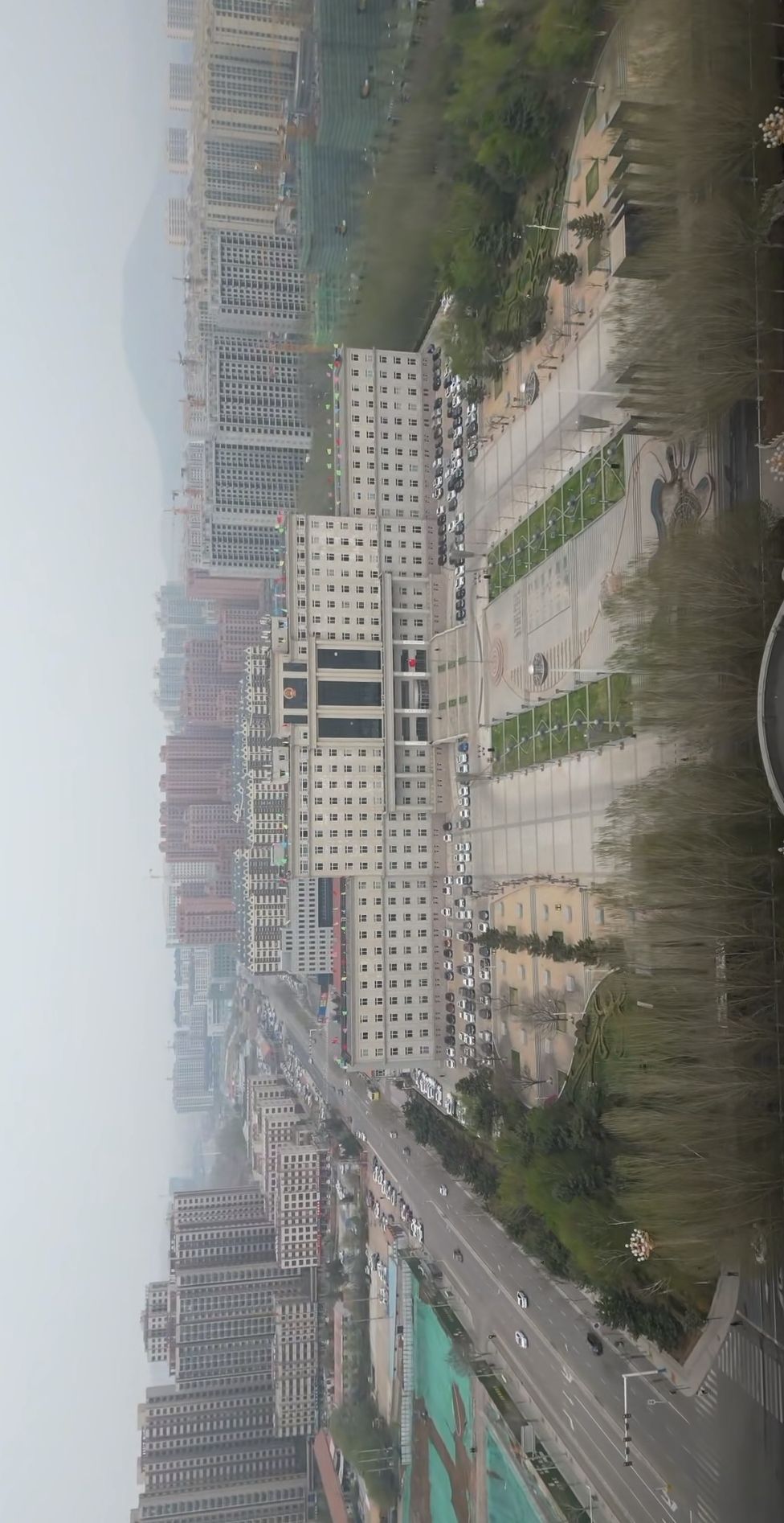 紫林公园旅行图片 1