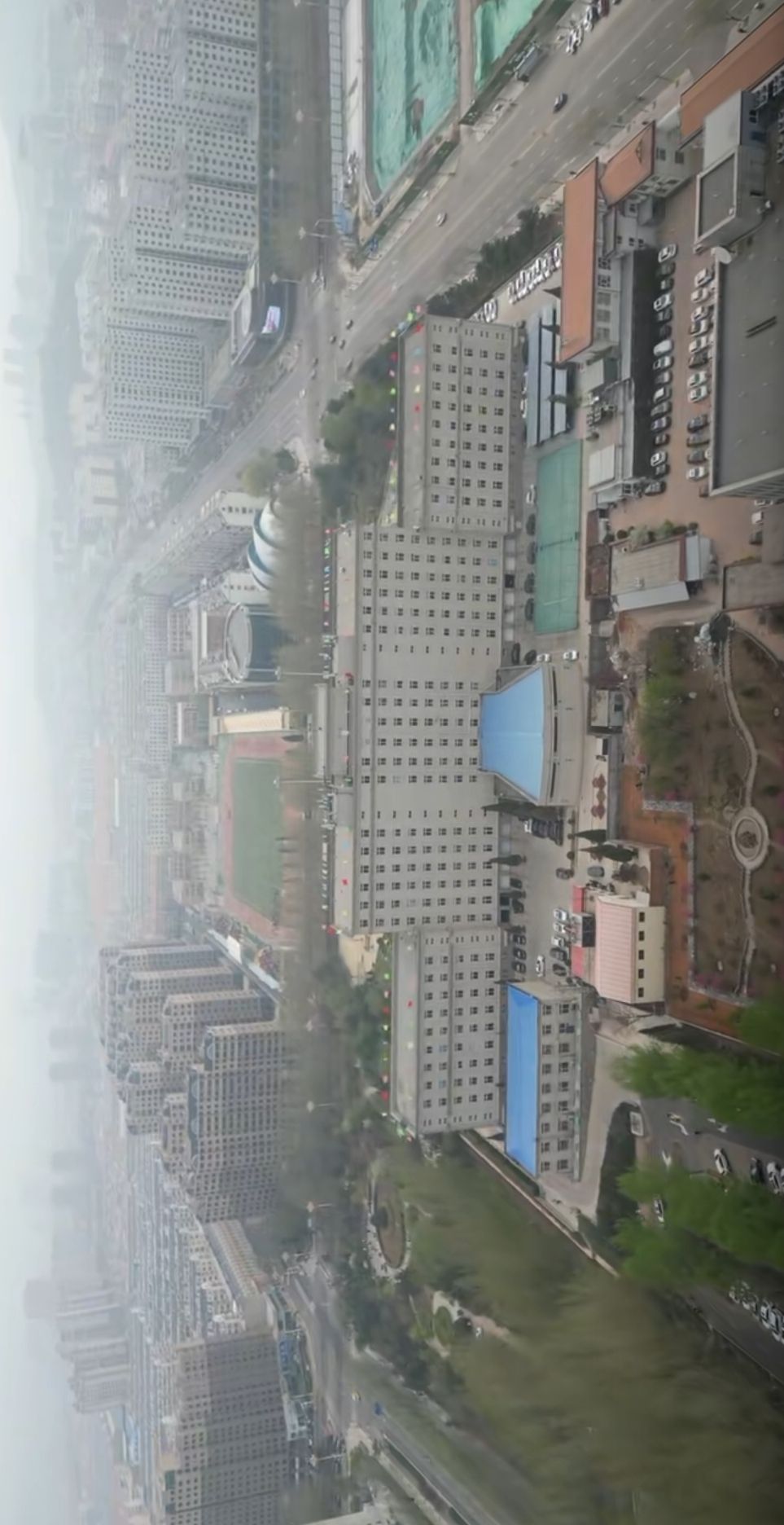 紫林公园旅行图片 2