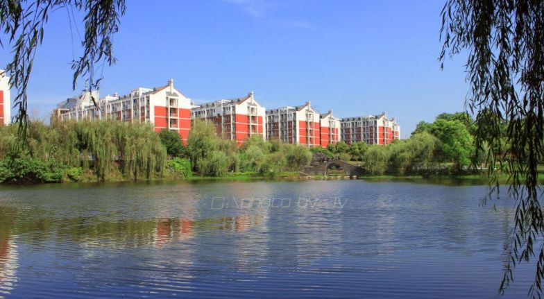 同心湖旅行图片 1