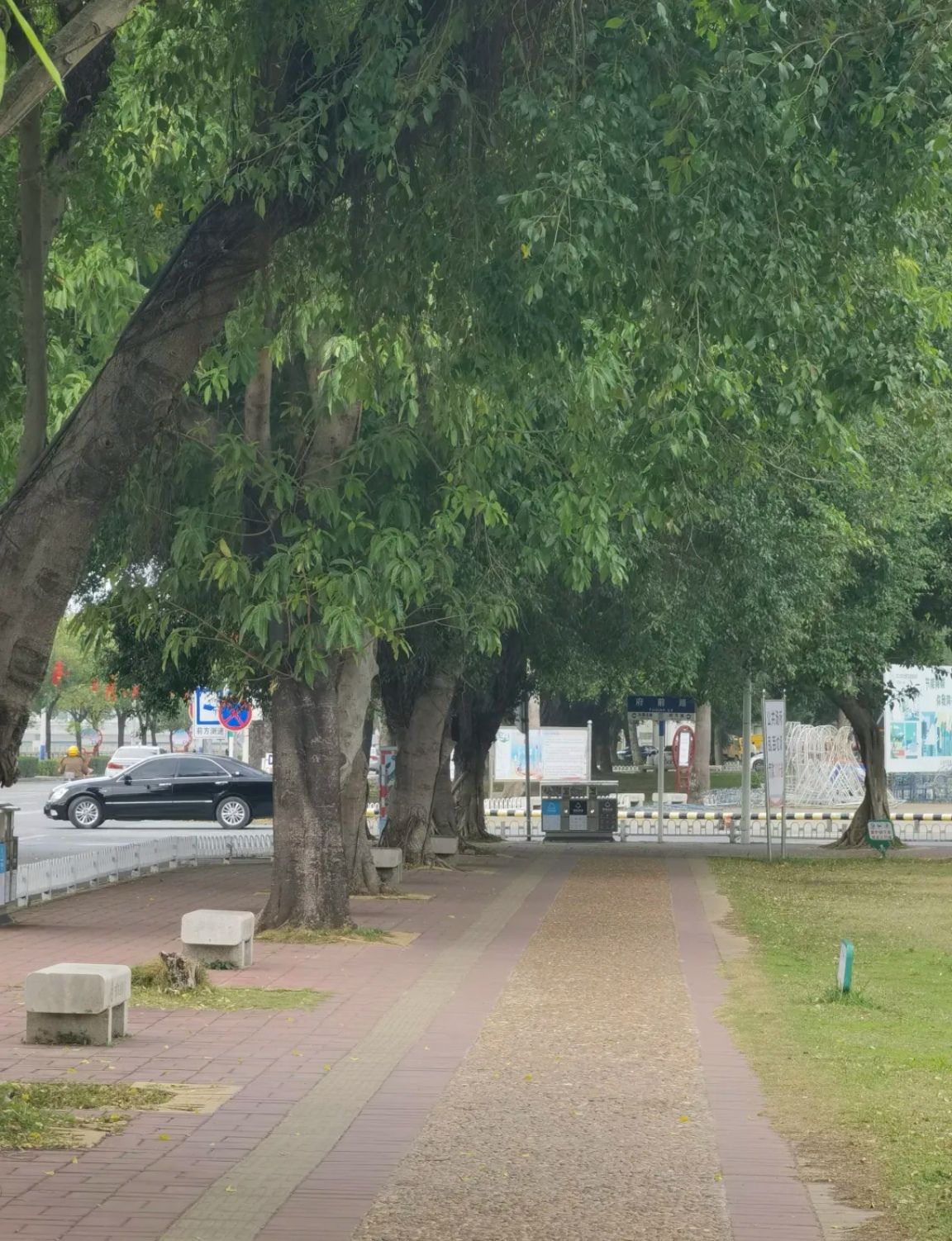 市府广场旅行图片 2