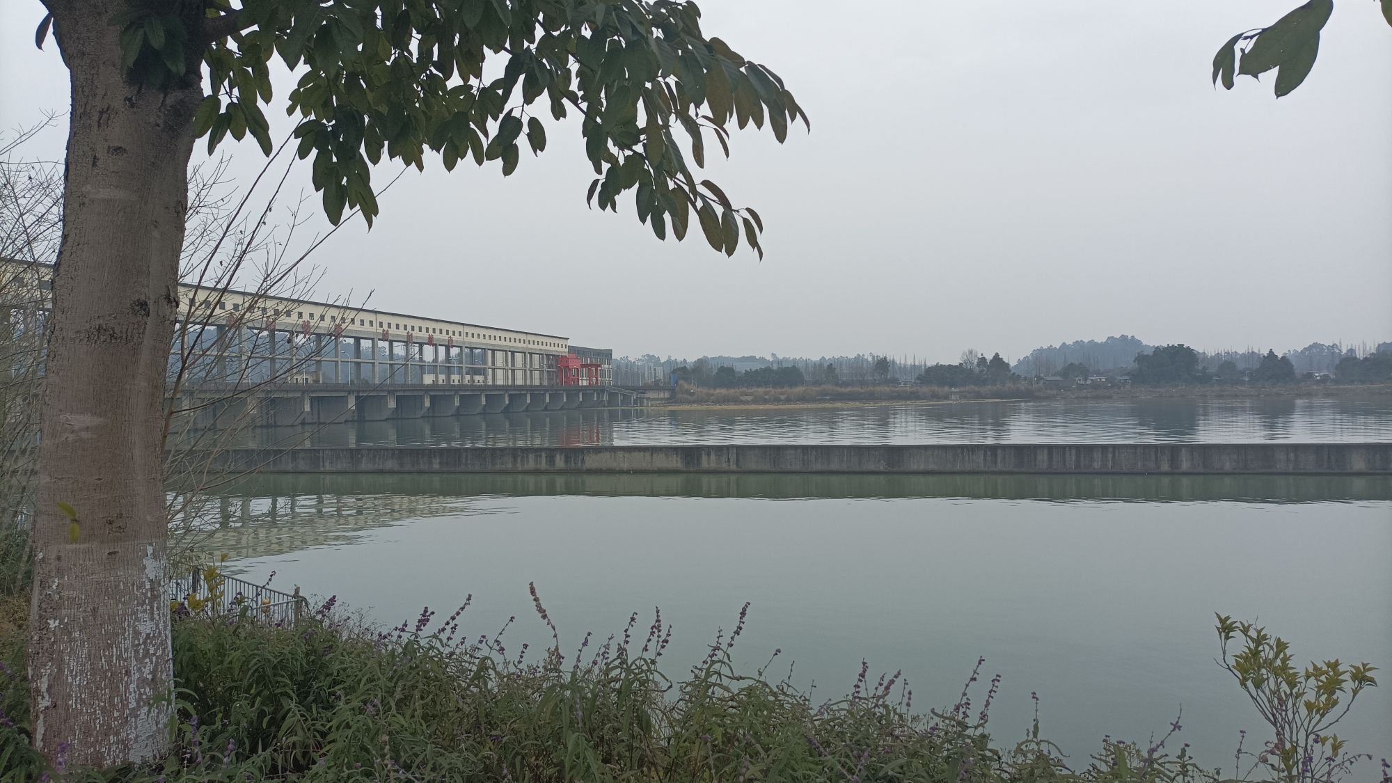 汉阳湖景区旅行图片 1