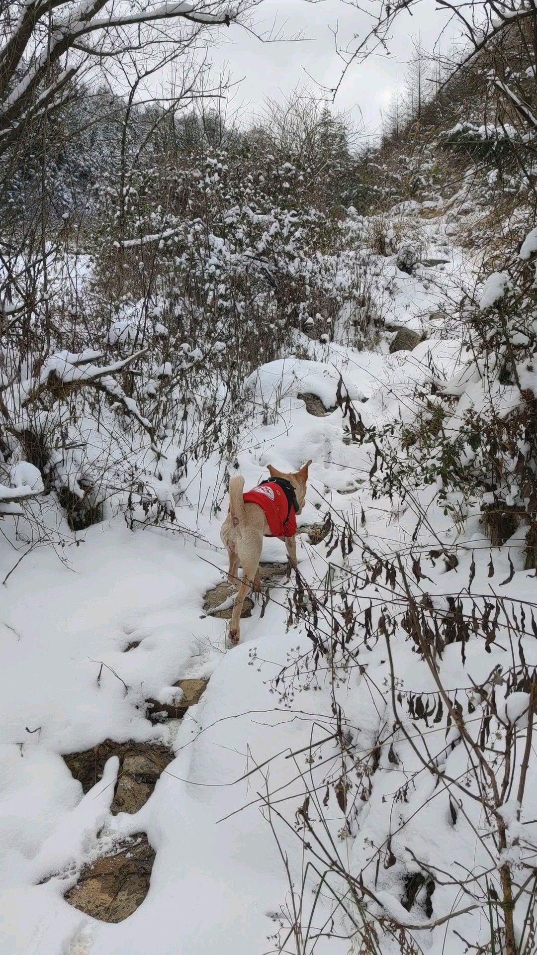 七曜山国家地质公园旅行图片 1