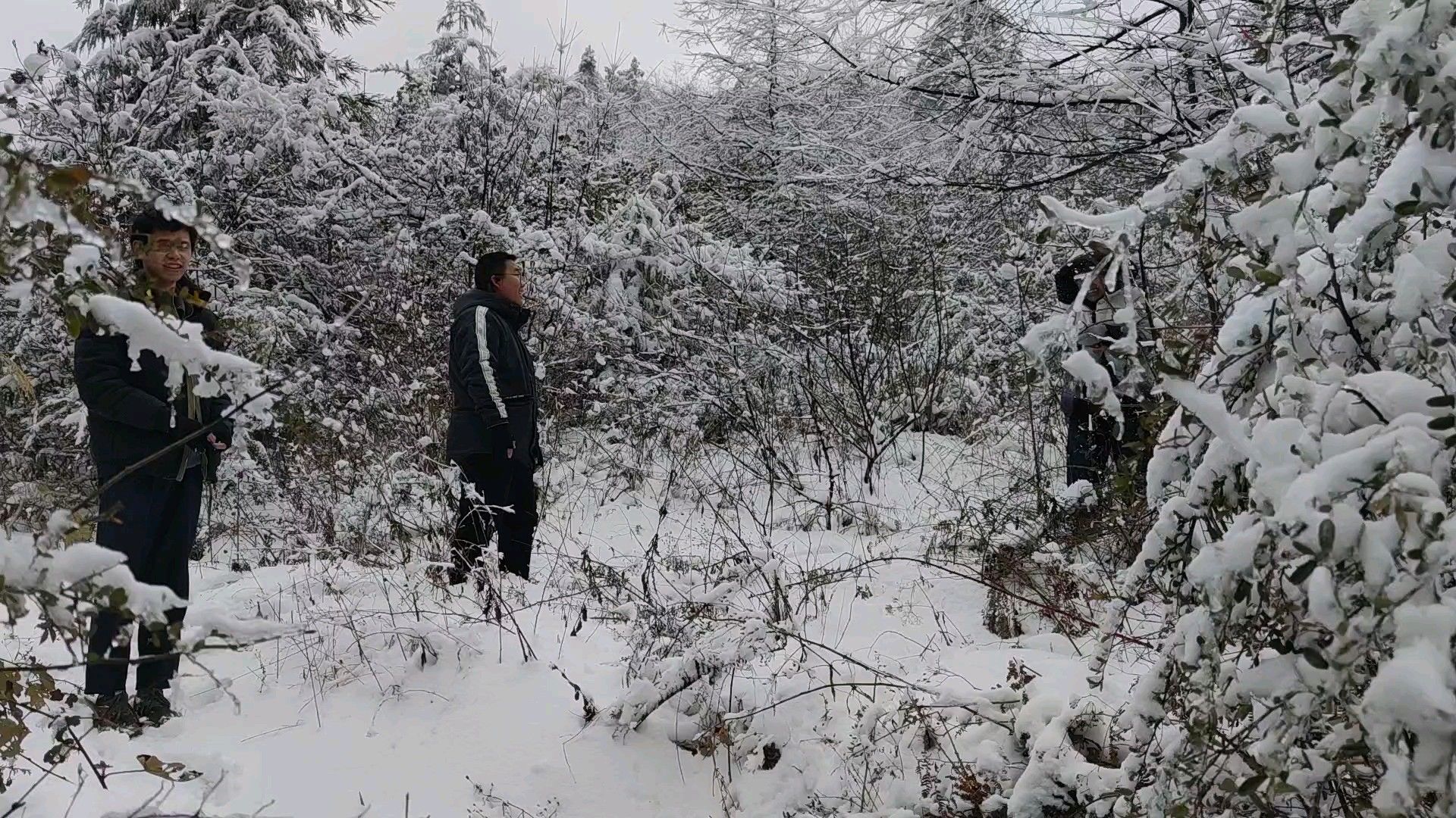 七曜山国家地质公园旅行图片 2
