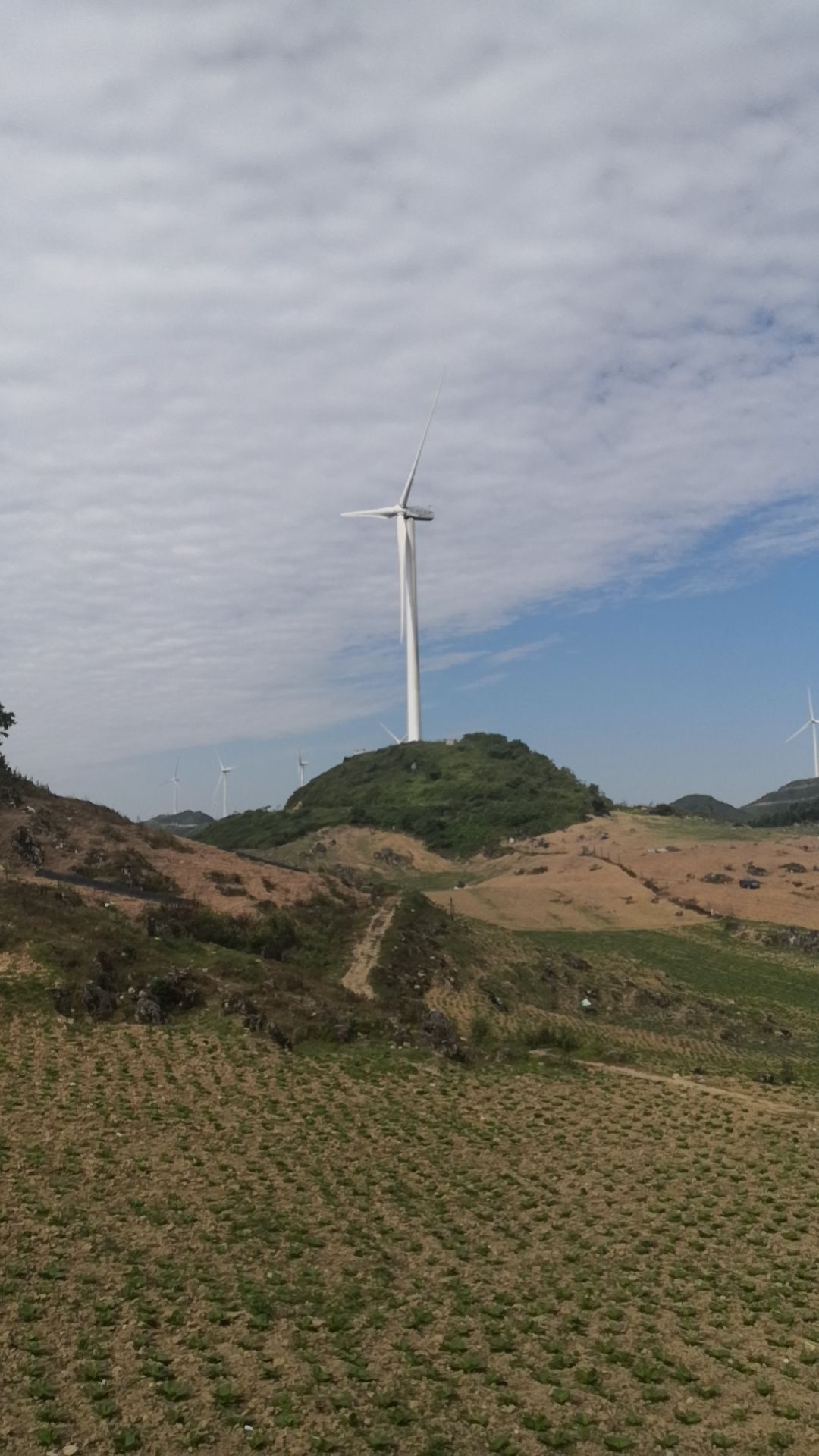 七曜山国家地质公园旅行图片 3