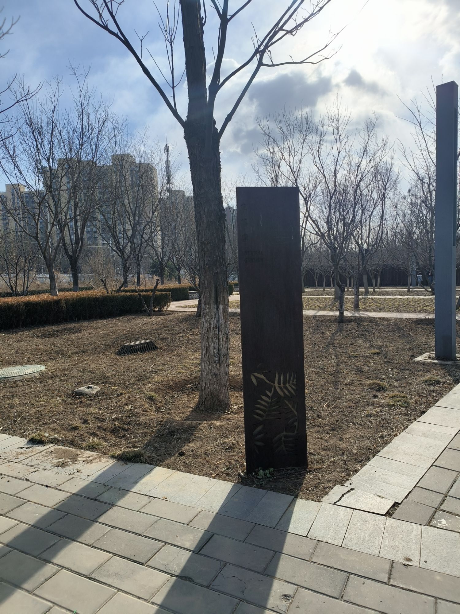 翡翠乐园旅行图片 2