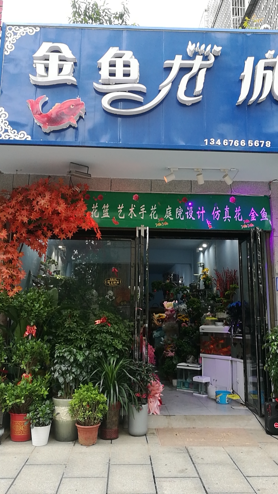 金鱼花城(水岸星城店)