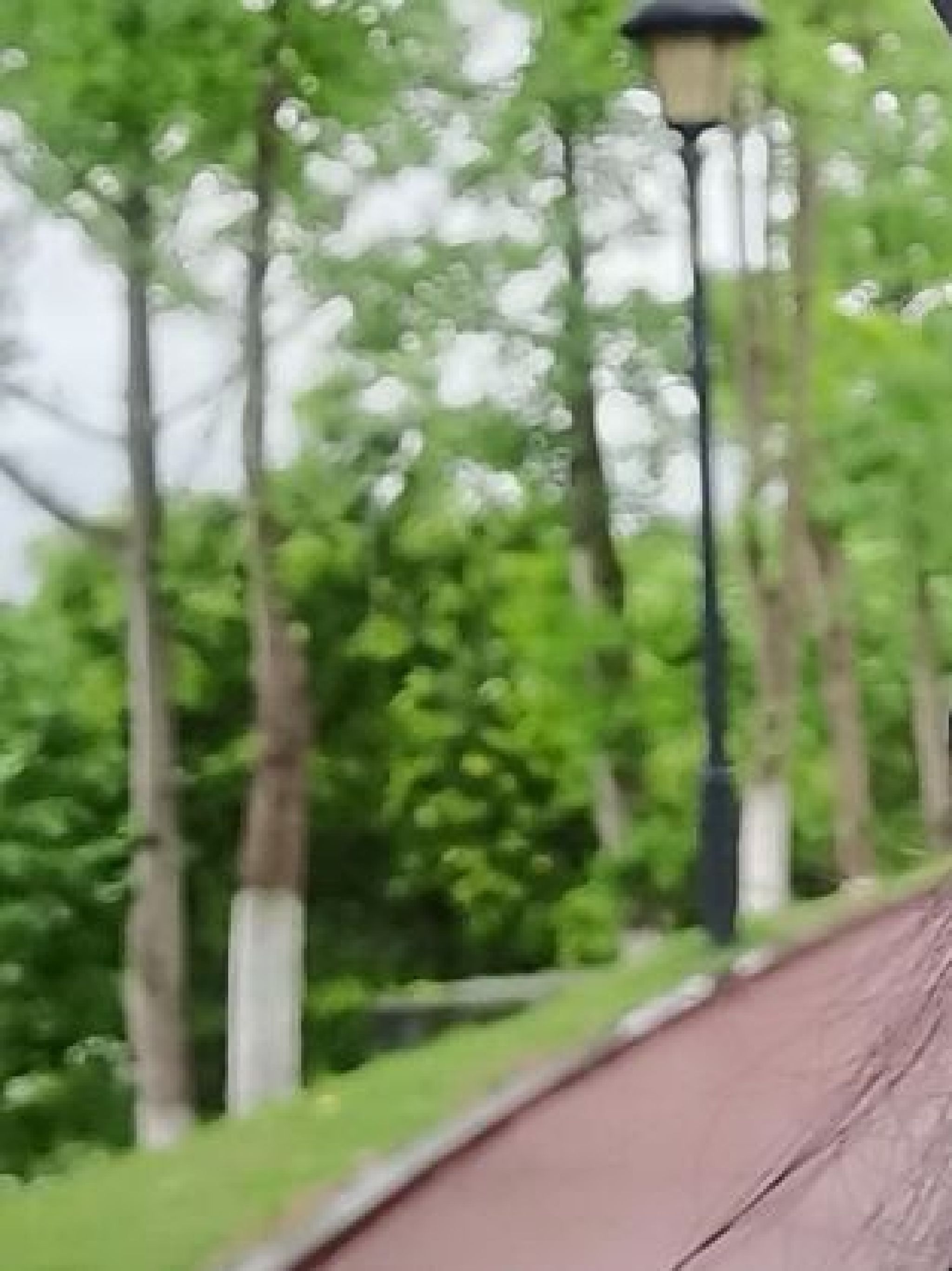 北滨体育公园旅行图片 3
