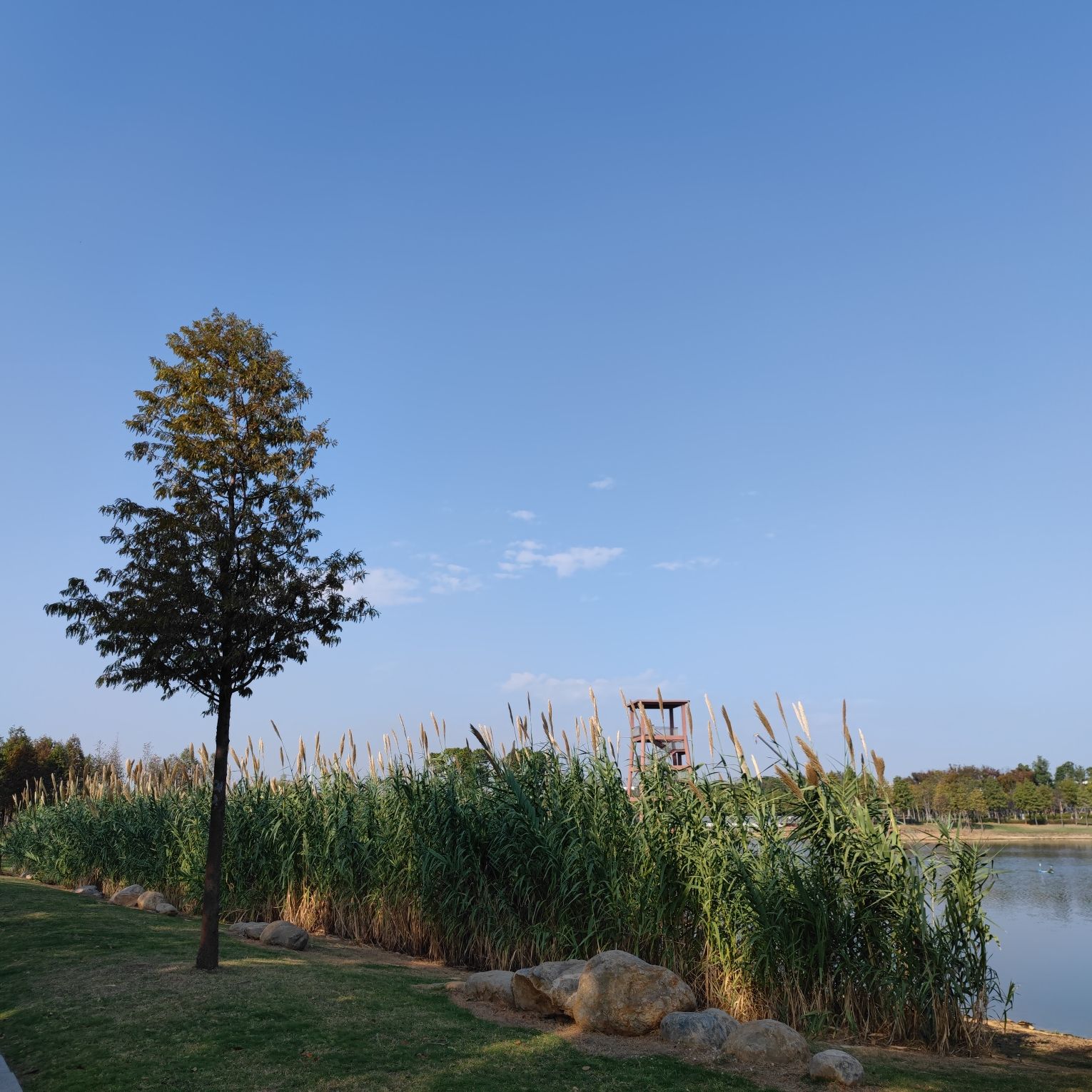 雁沙湖公园旅行图片 3