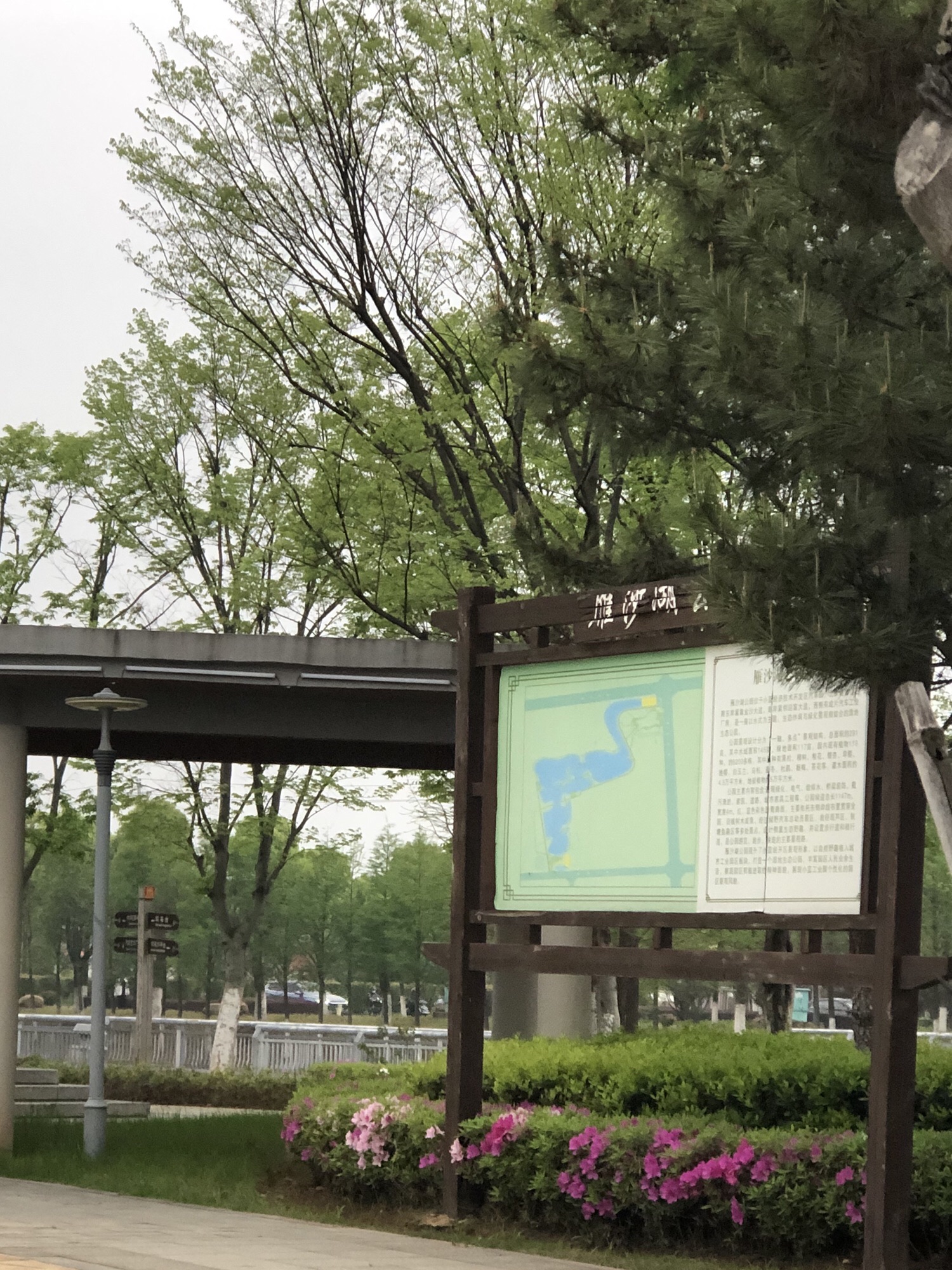 雁沙湖公园旅行图片 2