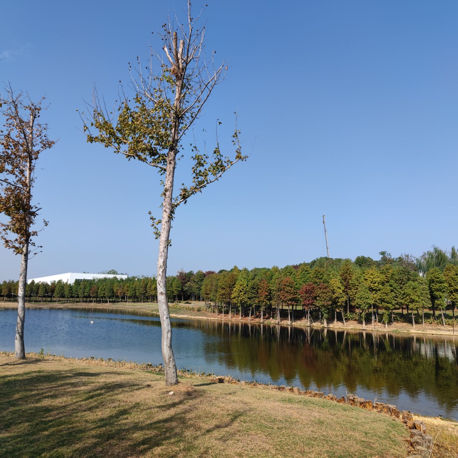 雁沙湖公园旅行图片 1