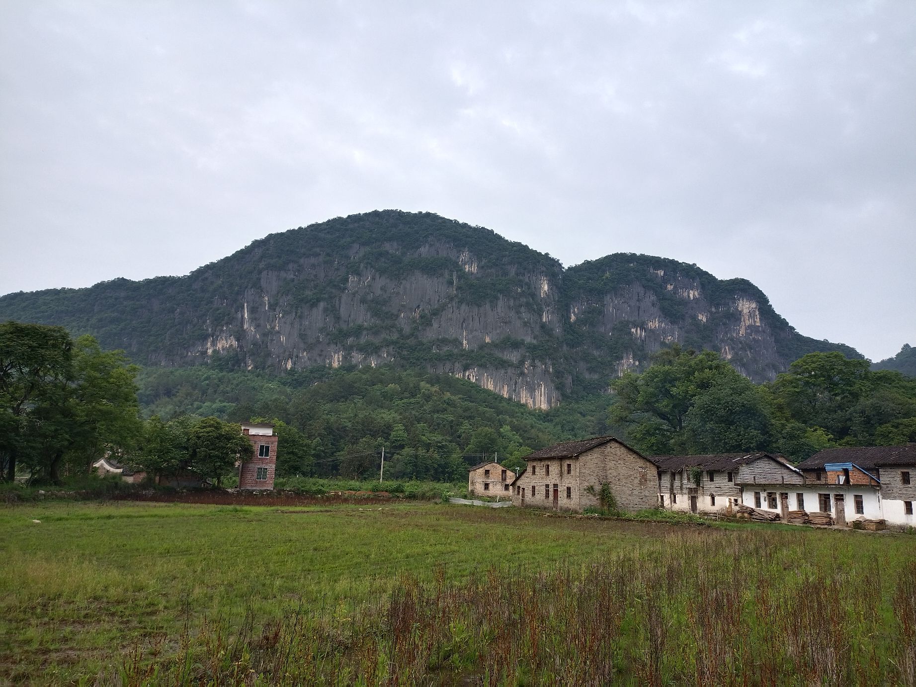 青石绿美古树公园旅行图片 2