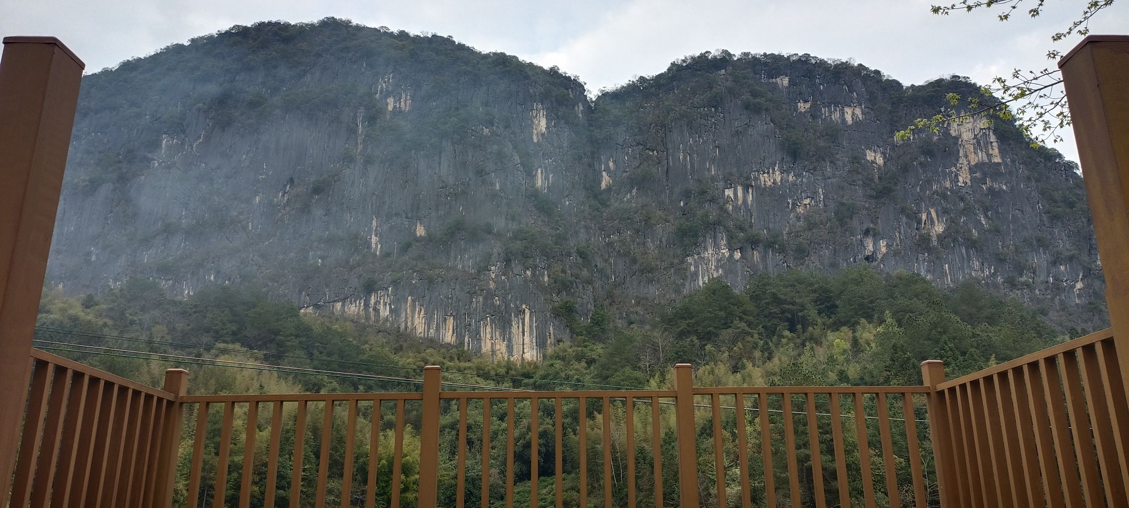 青石绿美古树公园旅行图片 1