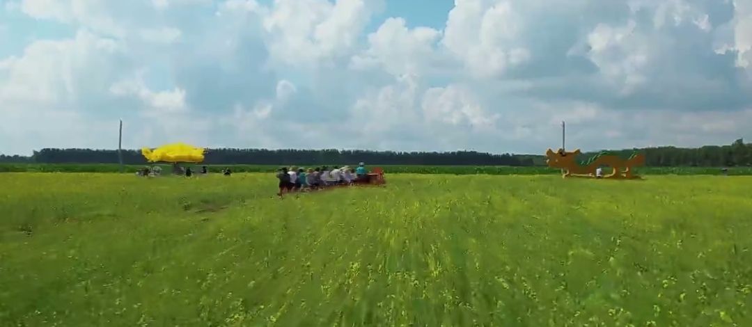 林源生态小镇六井子油菜花基地旅行图片 1
