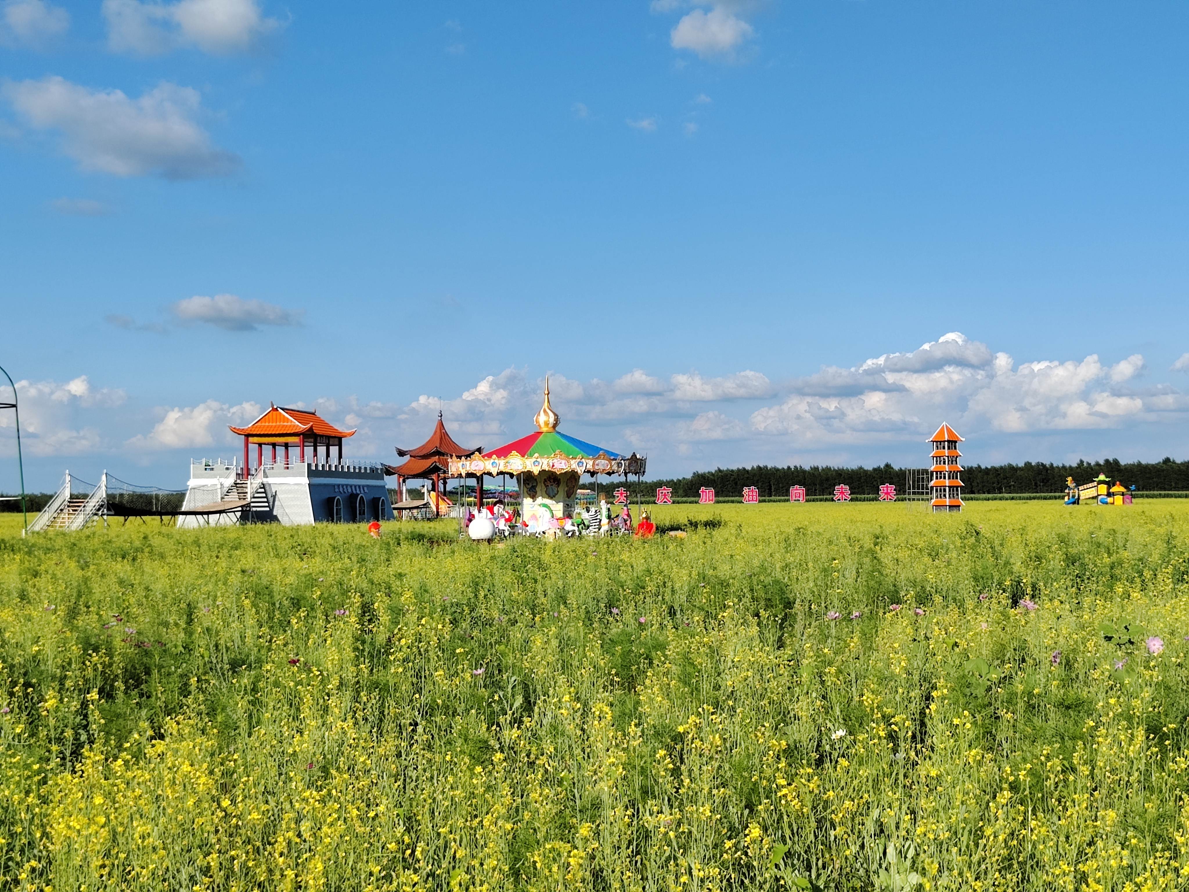 林源生态小镇六井子油菜花基地旅行图片 3