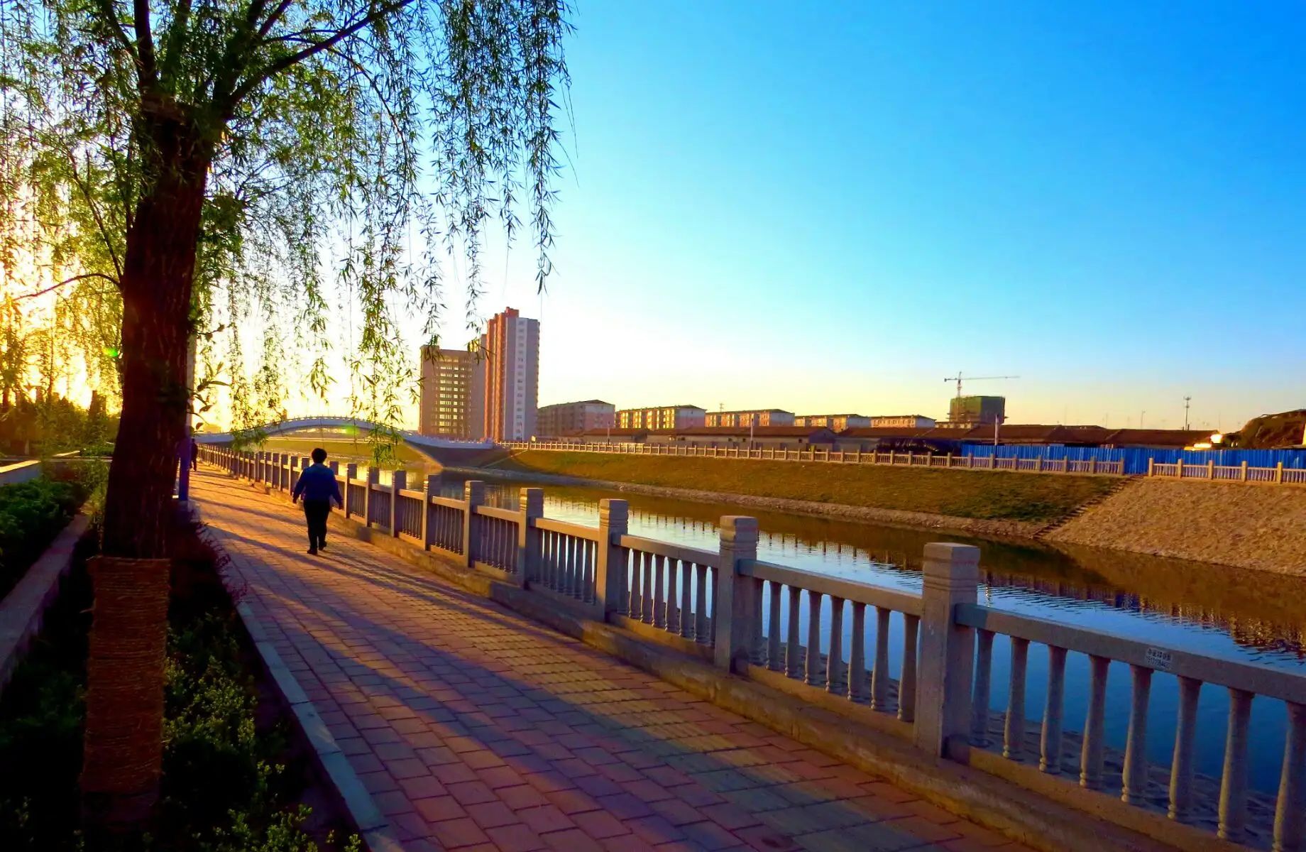 平舒公园旅行图片 2