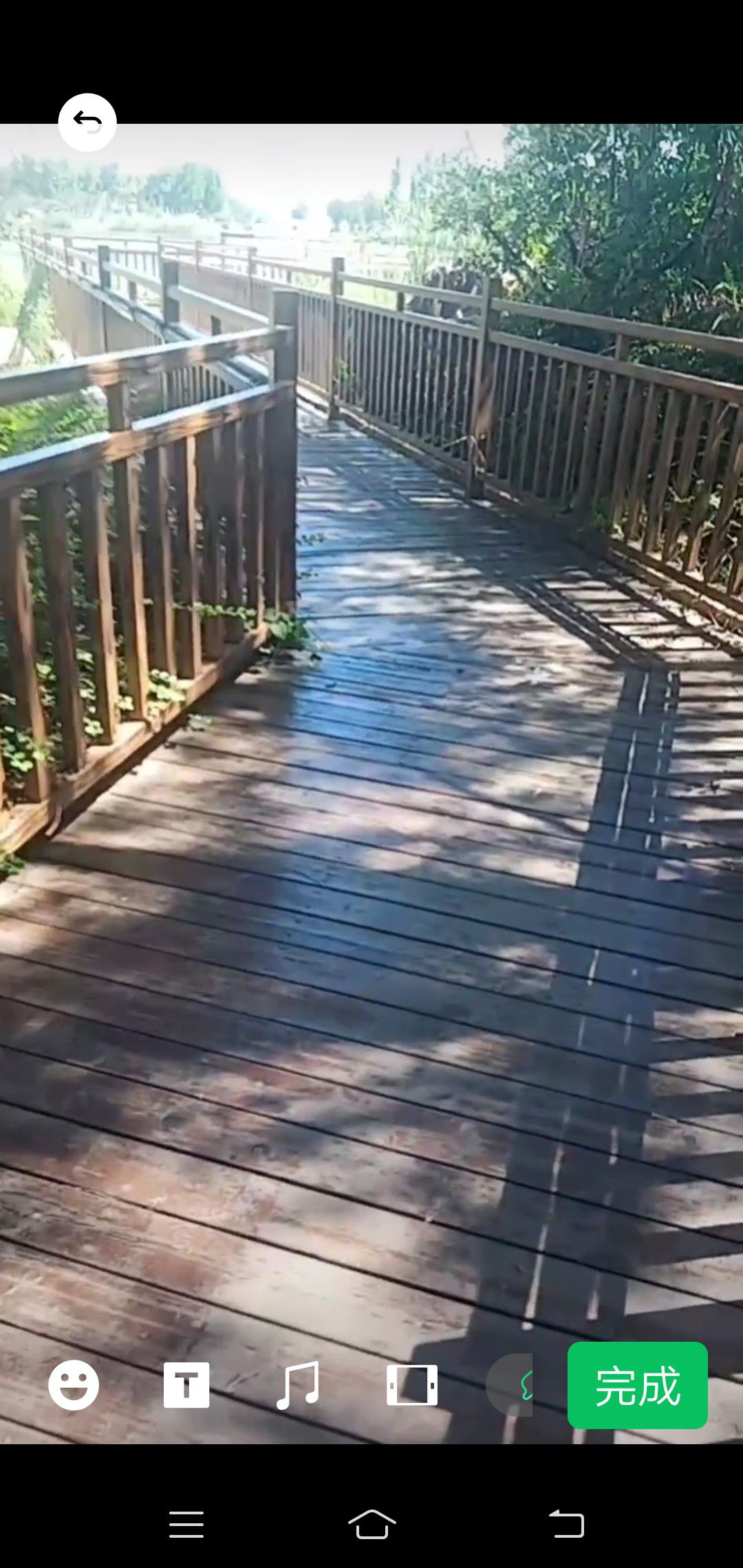 平舒公园旅行图片 2