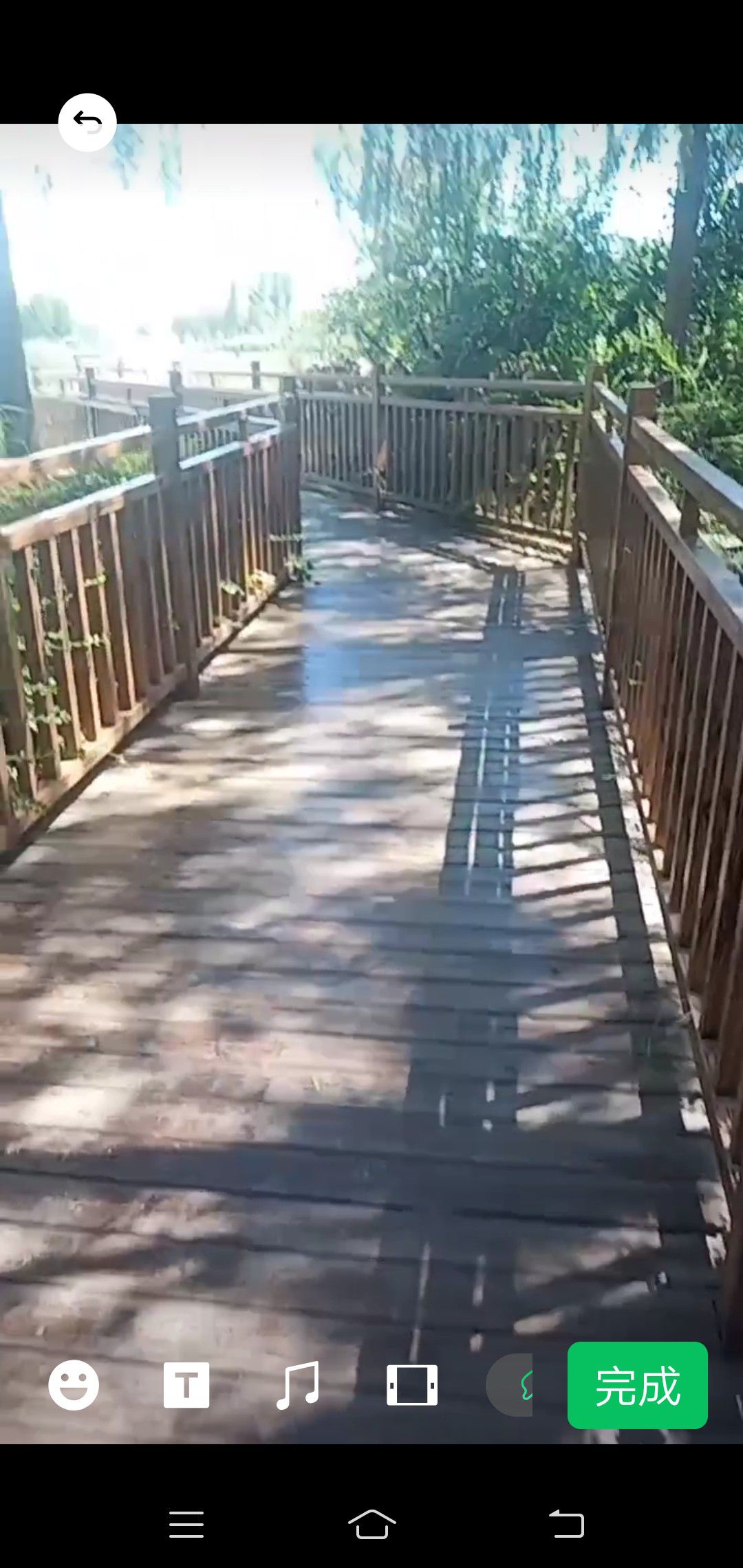 平舒公园旅行图片 1