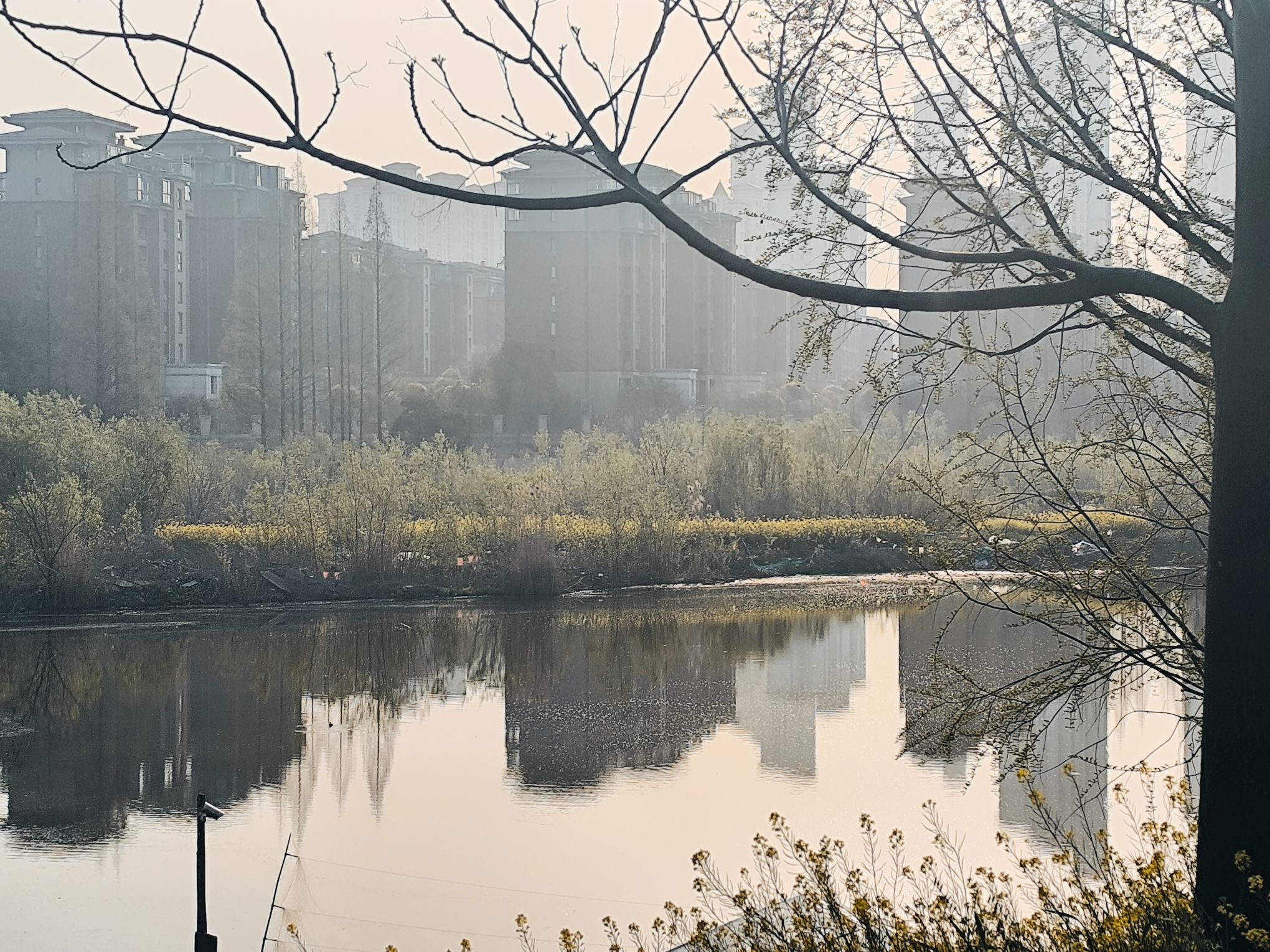 千棵柳湿地旅行图片 1