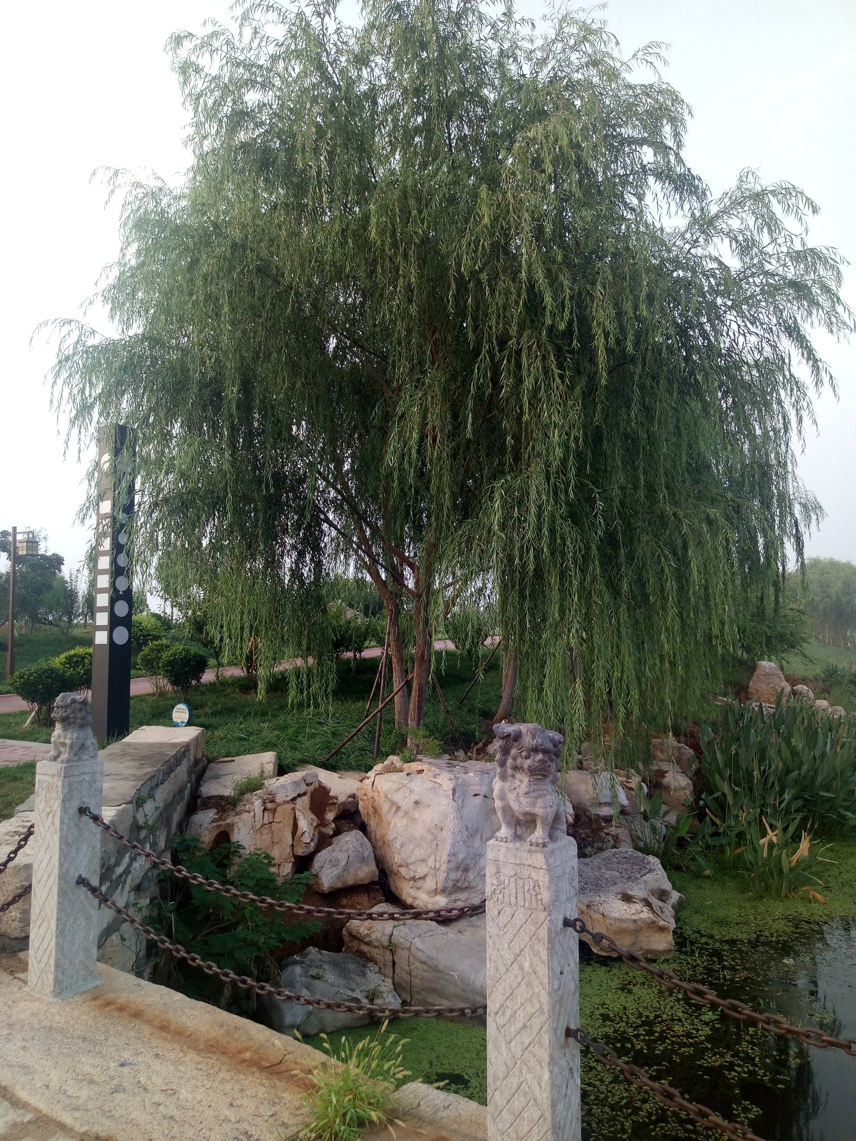 洸河公园旅行图片 3