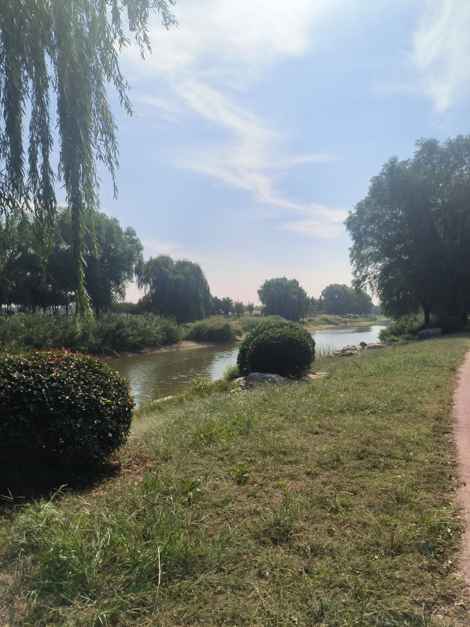 洸河公园旅行图片 2