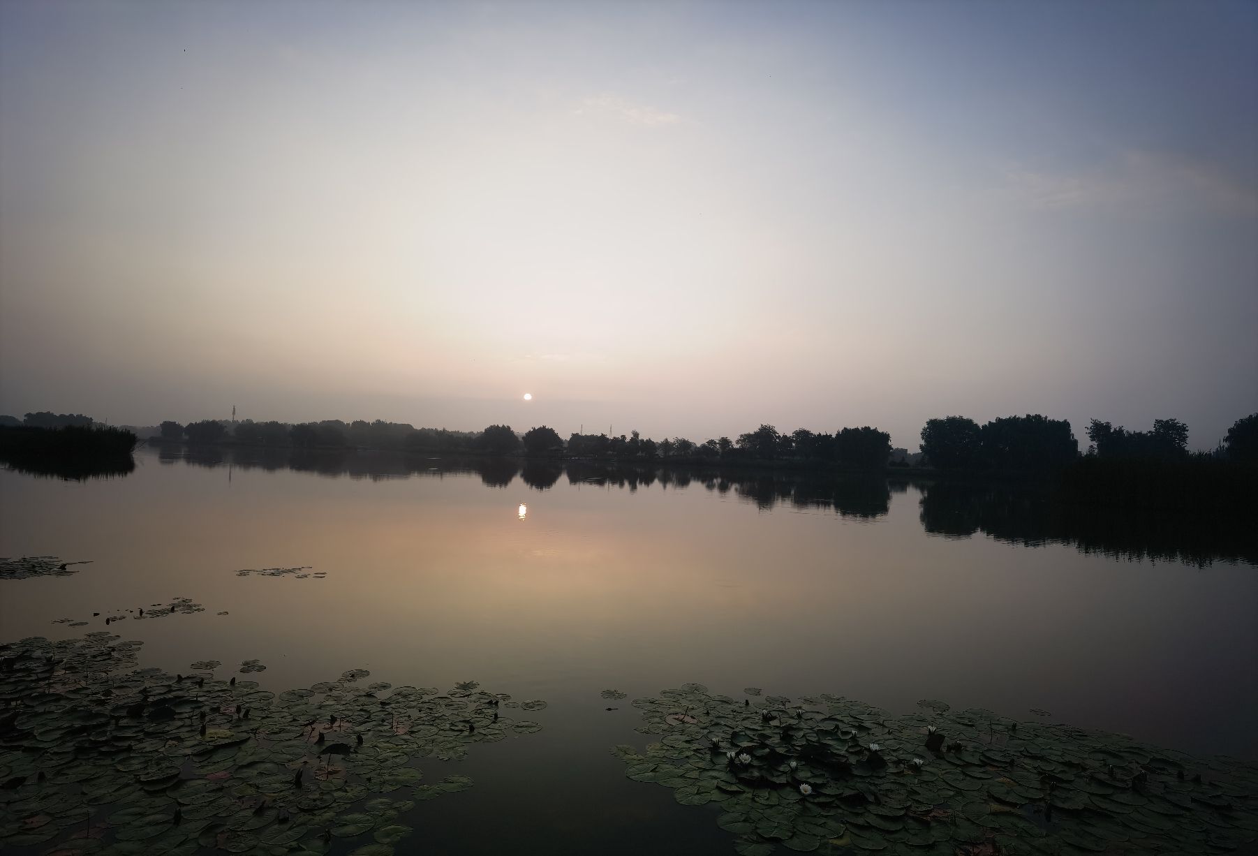 洸河公园旅行图片 1