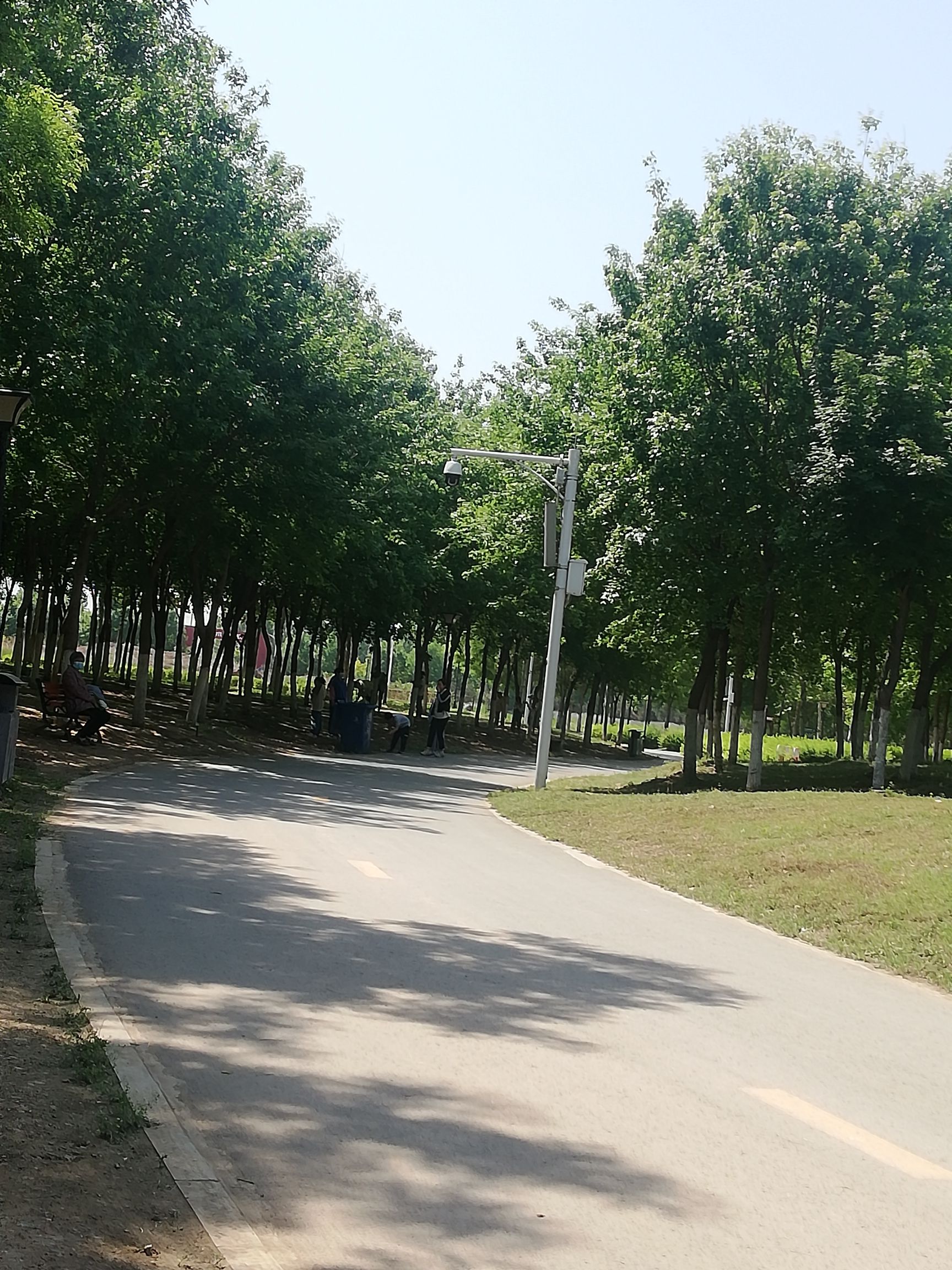 森林公园旅行图片 1