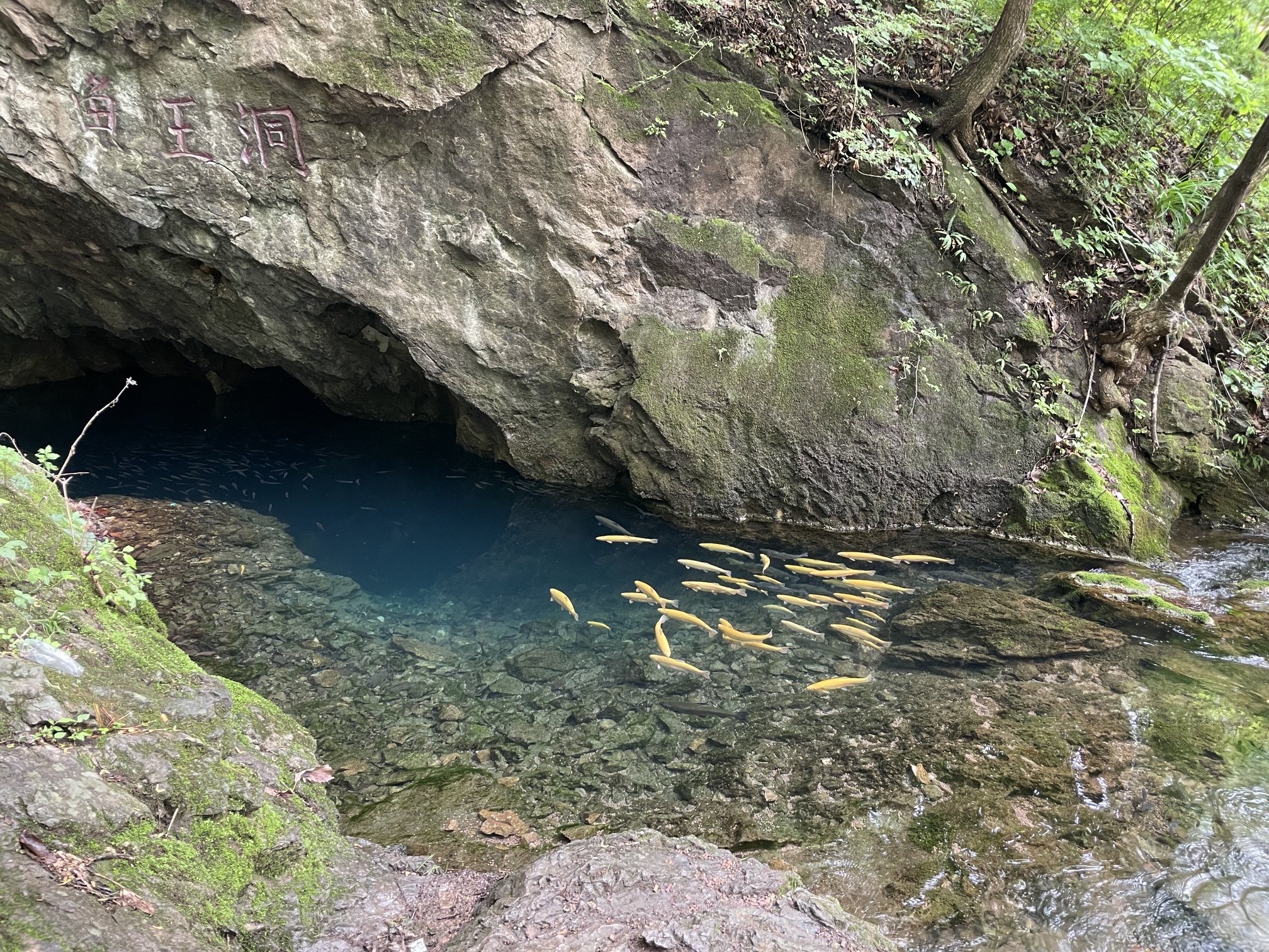 辽东第一寒泉旅行图片 3