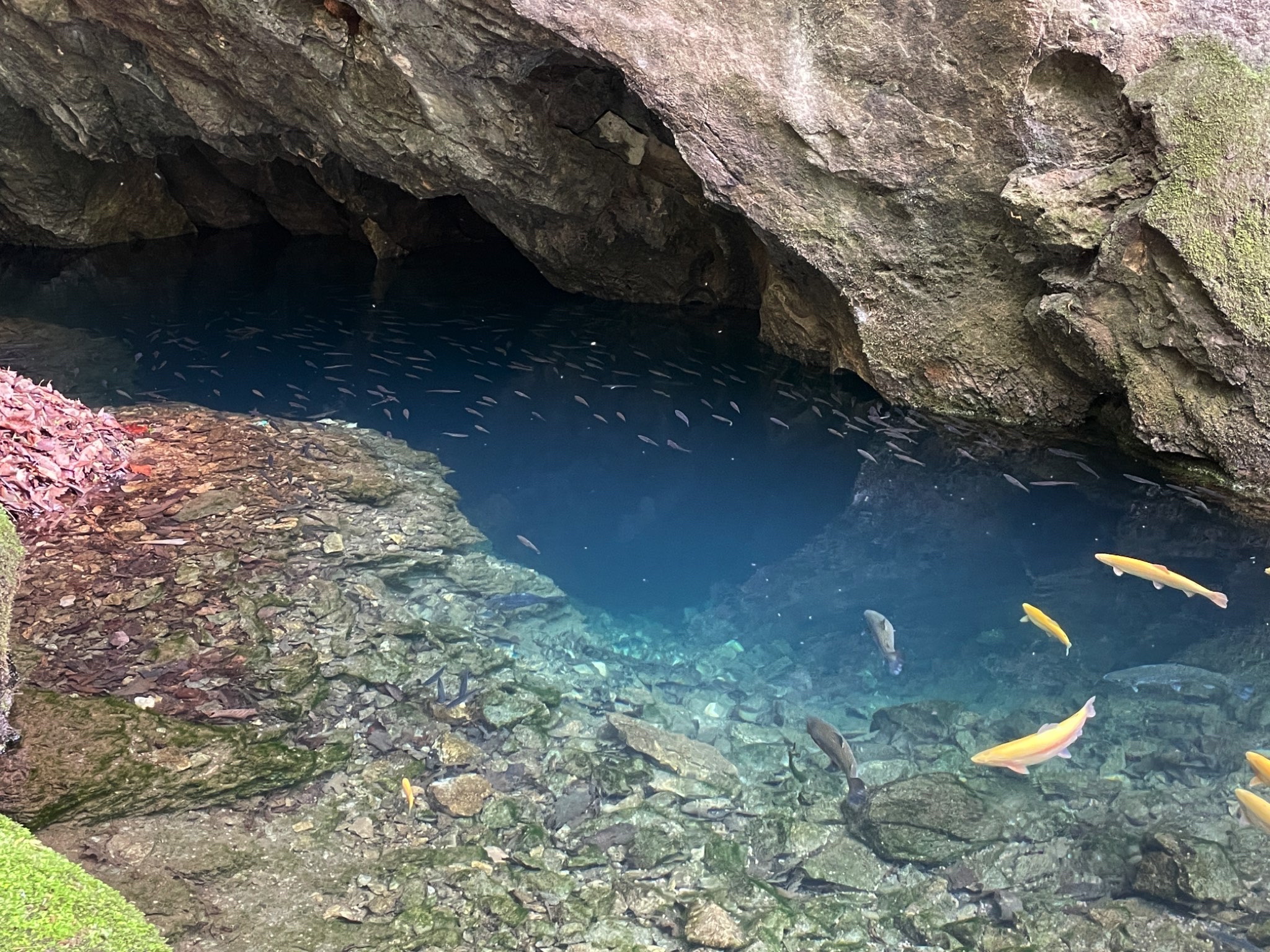 辽东第一寒泉旅行图片 1