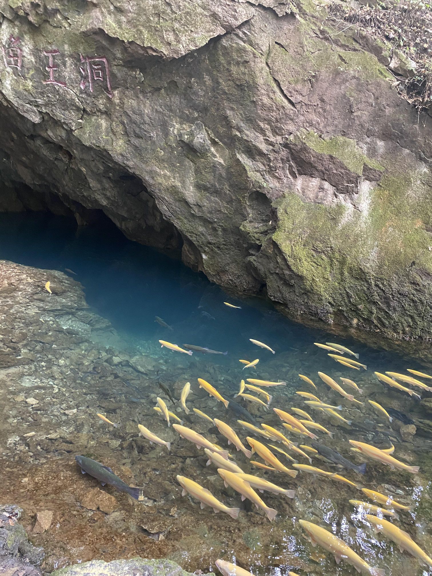 辽东第一寒泉旅行图片 2