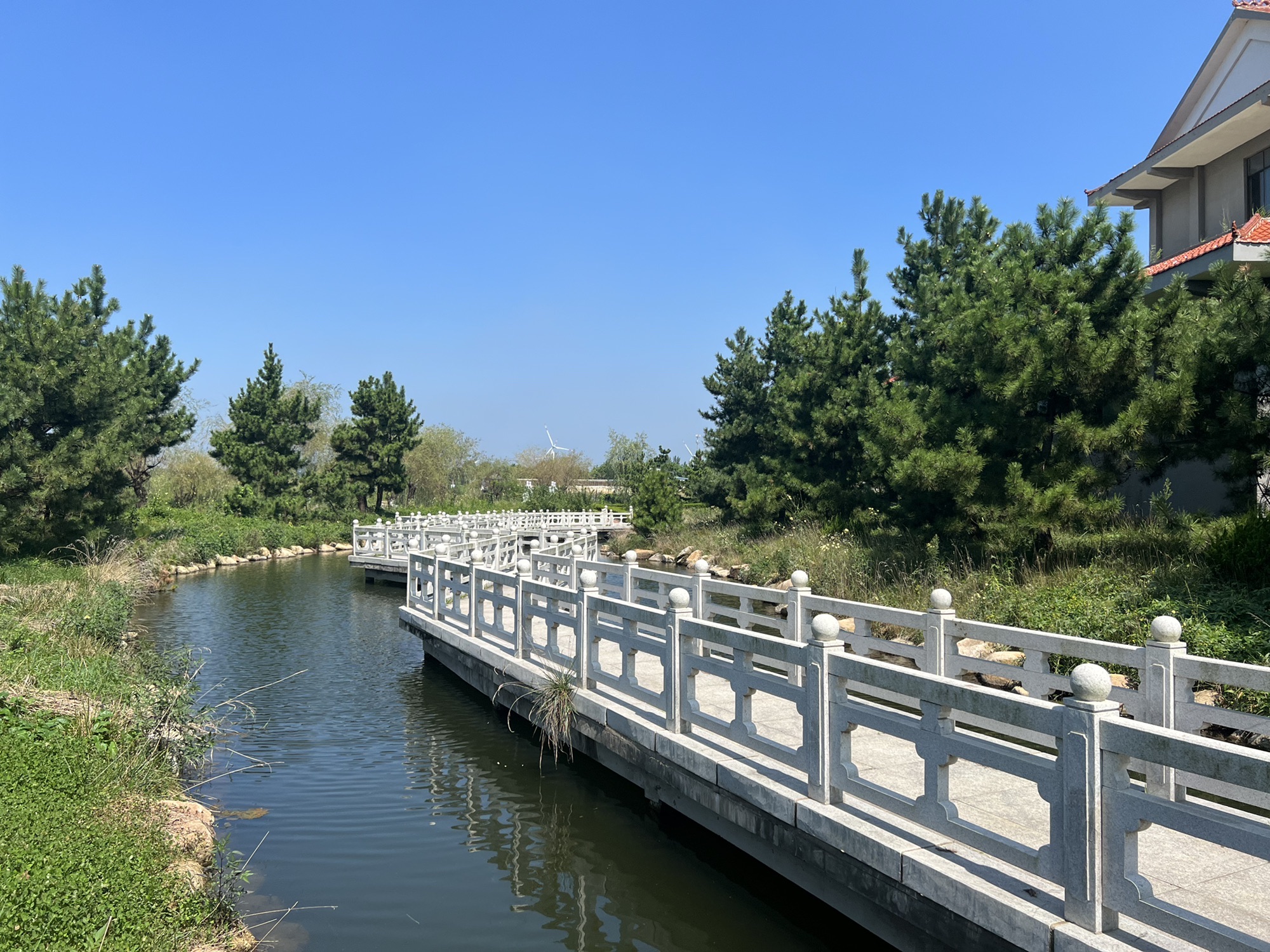 金岭公园旅行图片 3