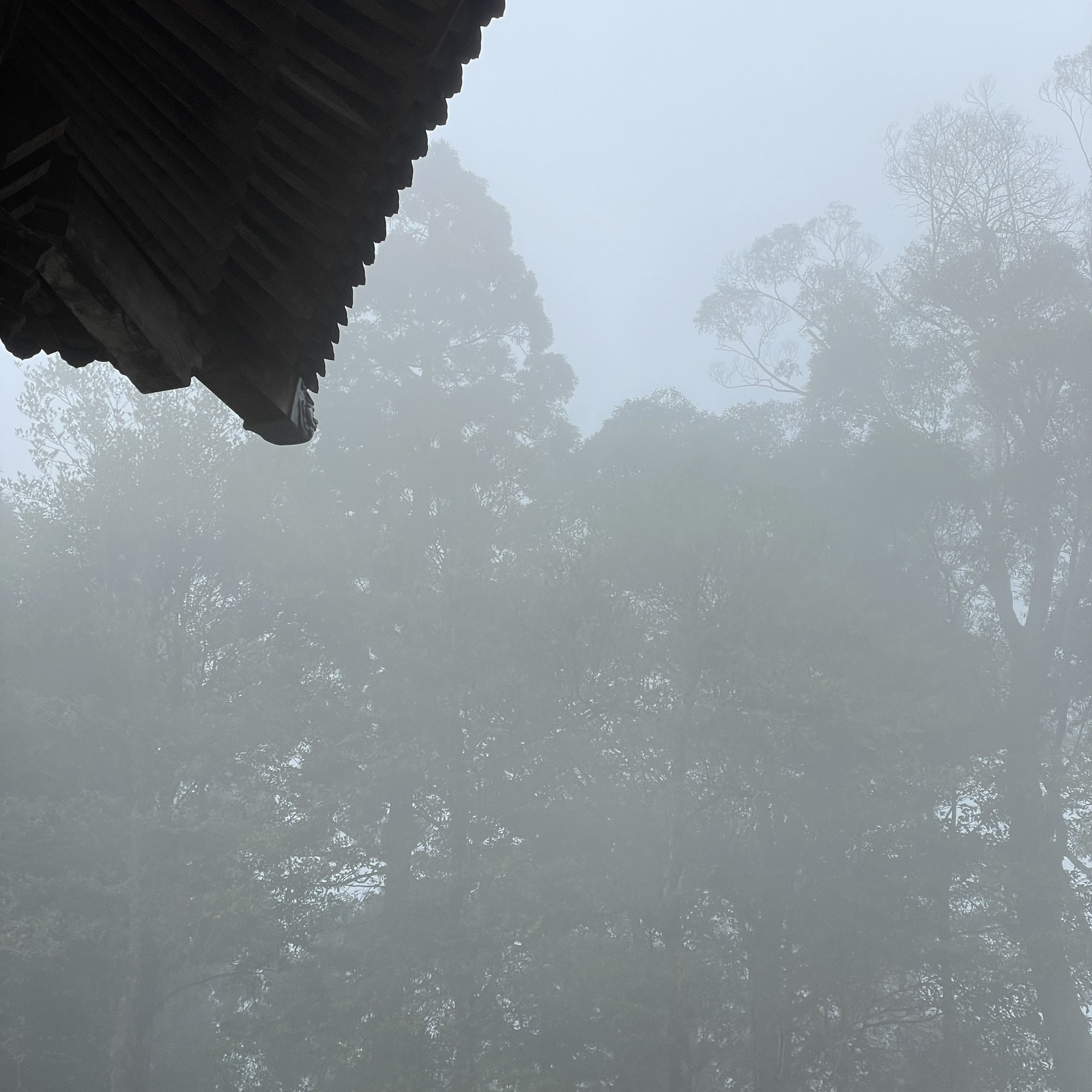 中国支提山国家森林公园旅行图片 3