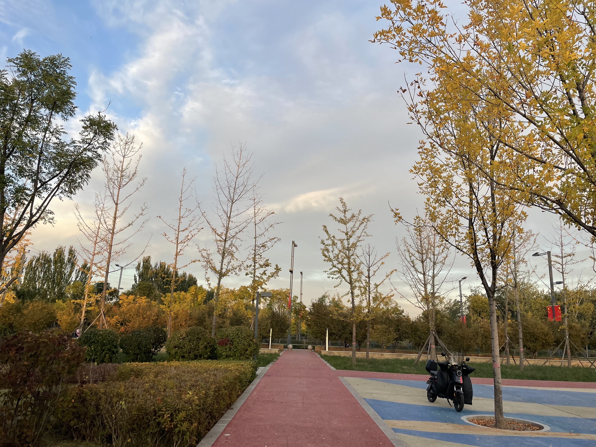 嘉节游园旅行图片 3
