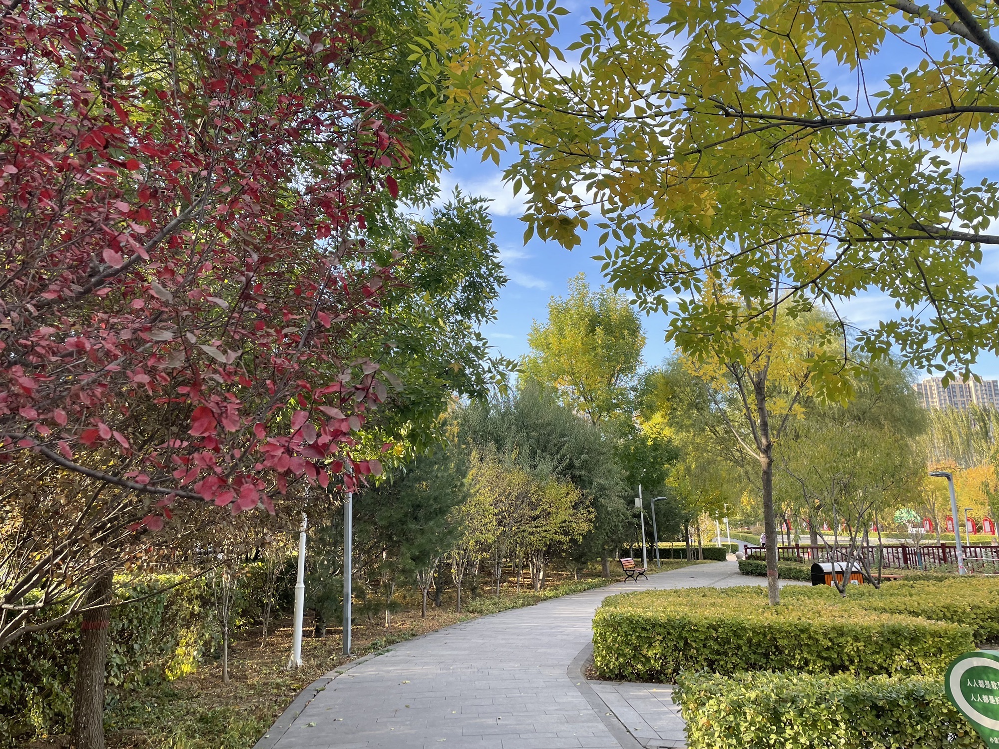 嘉节游园旅行图片 2