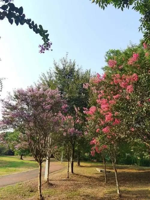 康熙河景观带旅行图片 1
