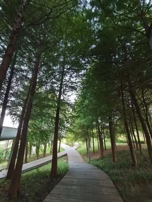康熙河景观带旅行图片 3