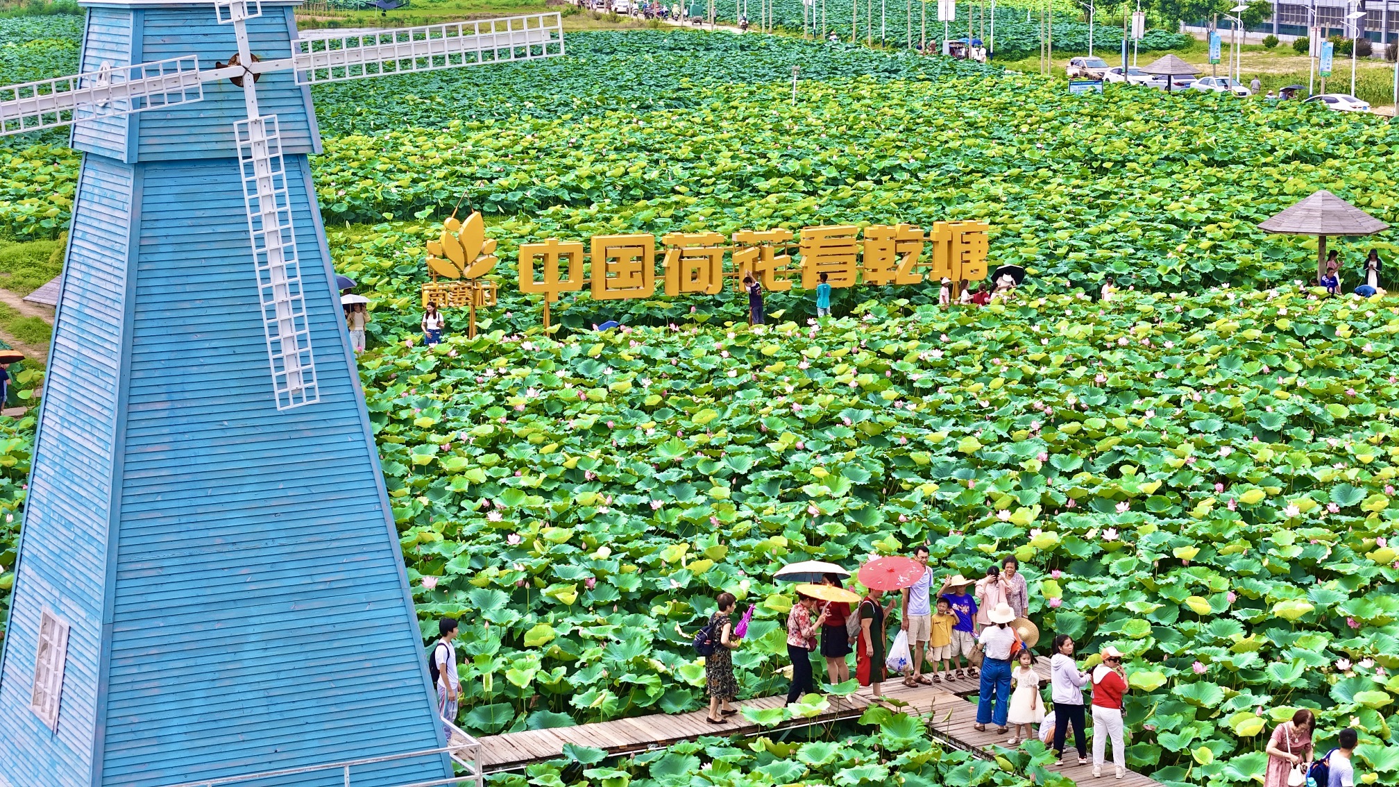 乾塘荷花世界旅行图片 1
