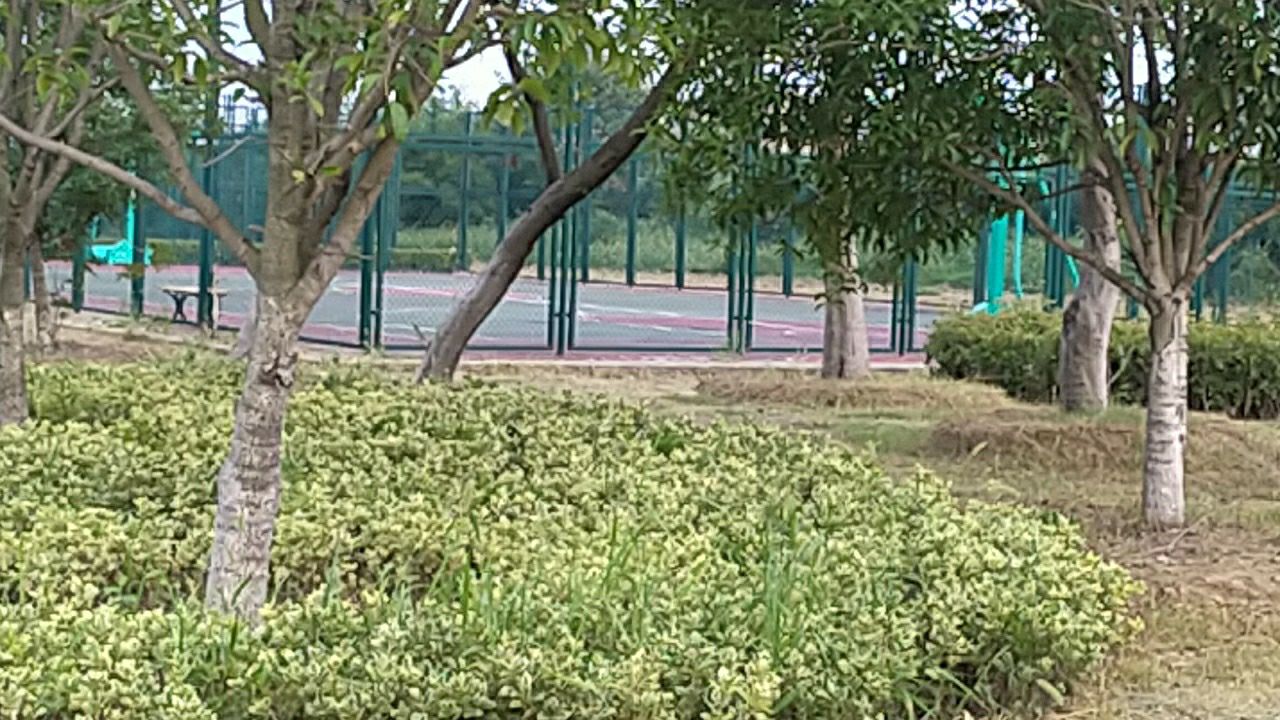 大涵河生态体育休闲公园旅行图片 1