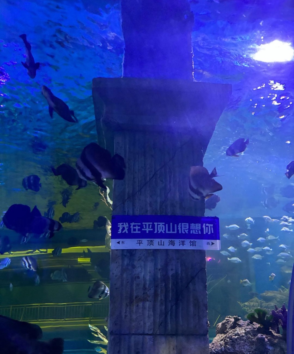平顶山海洋馆
